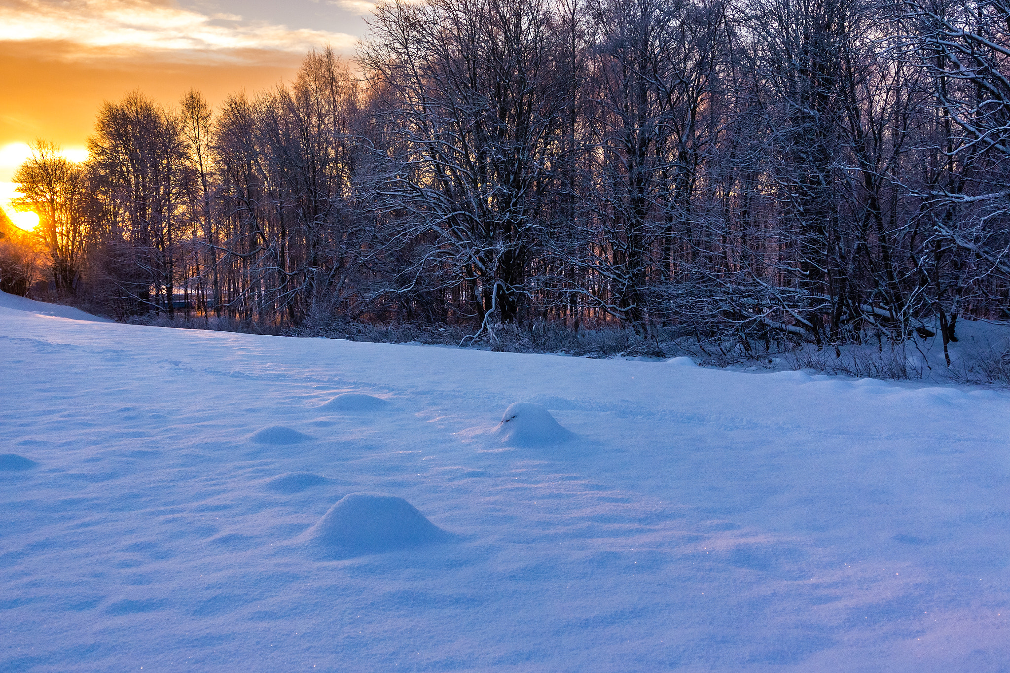 Nikon 1 J3 sample photo. A cold winter day photography