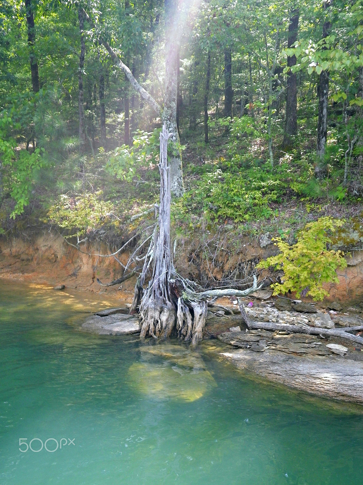 Pentax Optio W90 sample photo. Sunbeam photography