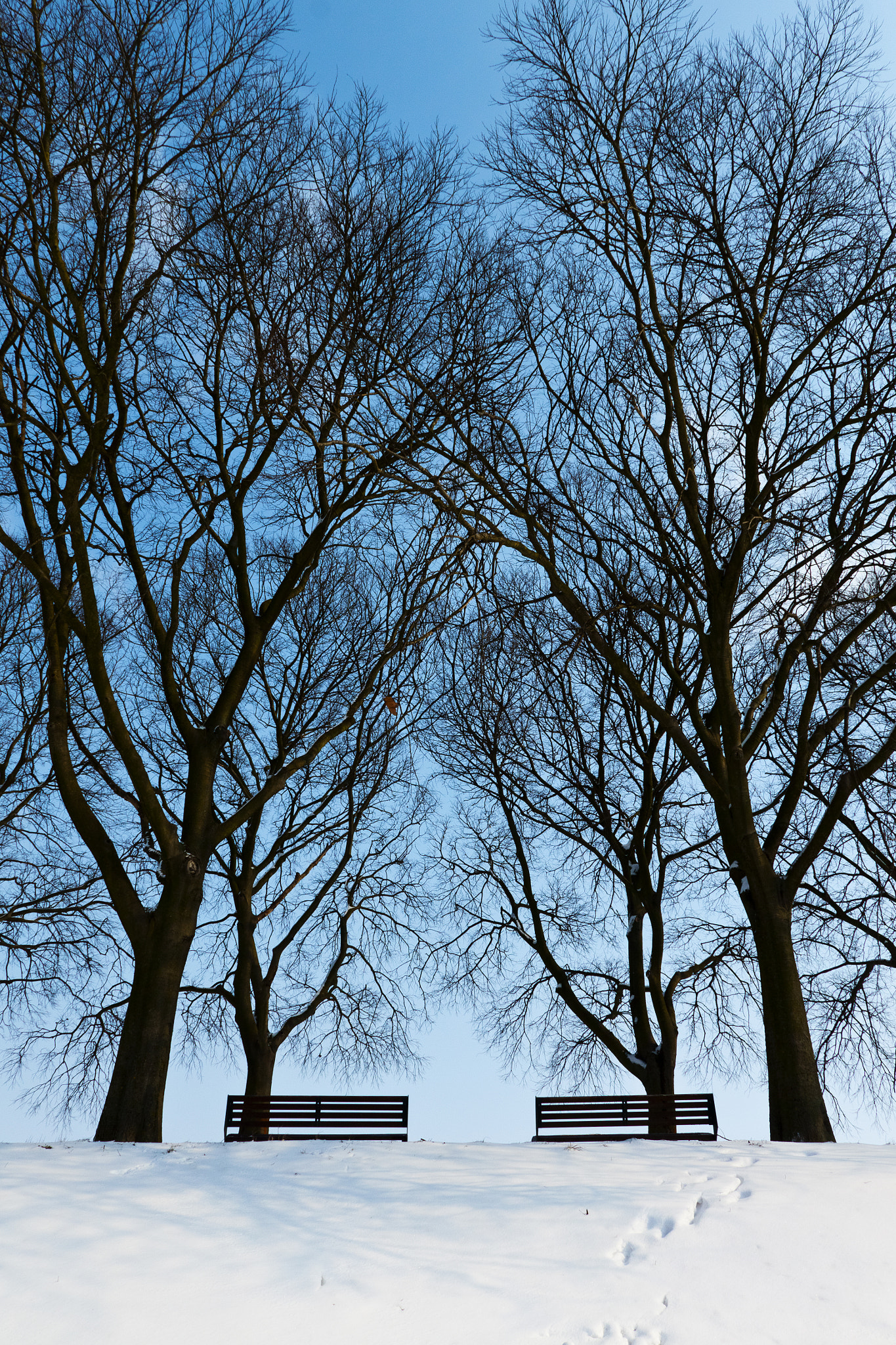 Sigma 18-125mm F3.8-5.6 DC OS HSM sample photo. Twins photography