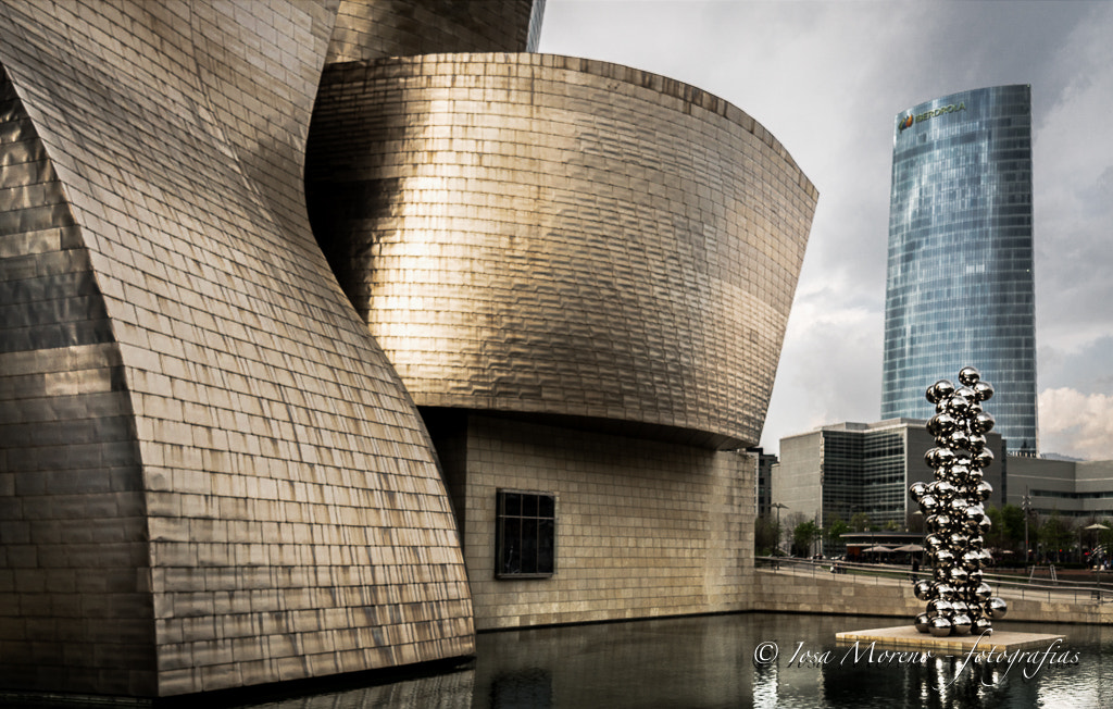 Sony DT 16-105mm F3.5-5.6 sample photo. Tiempos de metal... photography