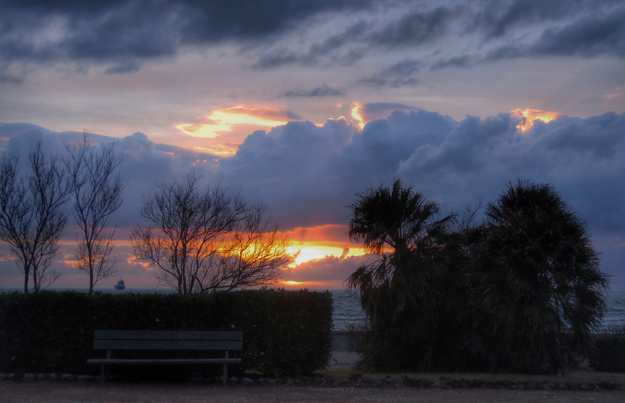 Nikon AF Nikkor 24-85mm F2.8-4D IF sample photo. Looking the sky photography
