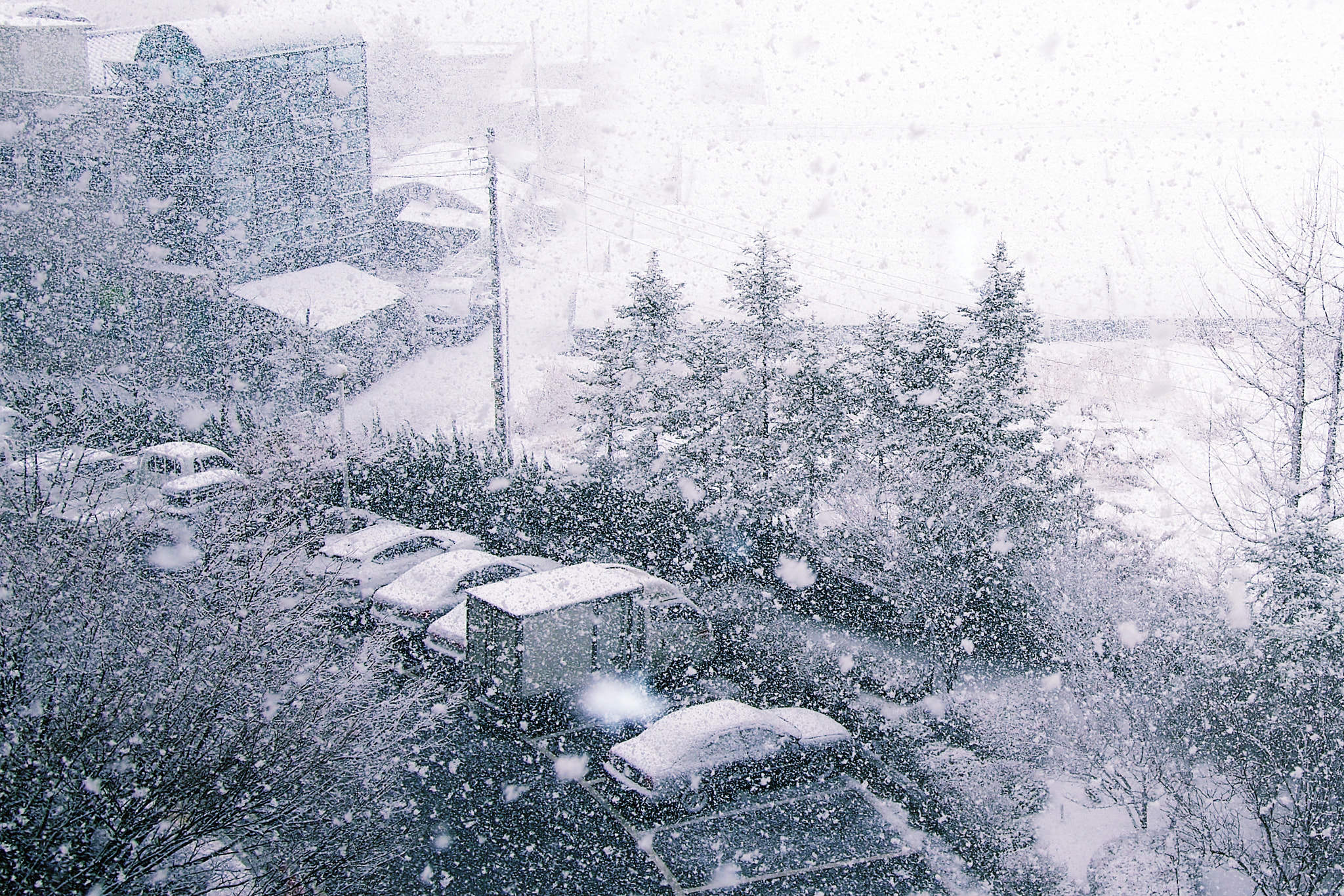 Olympus PEN E-P5 sample photo. Snowy day photography