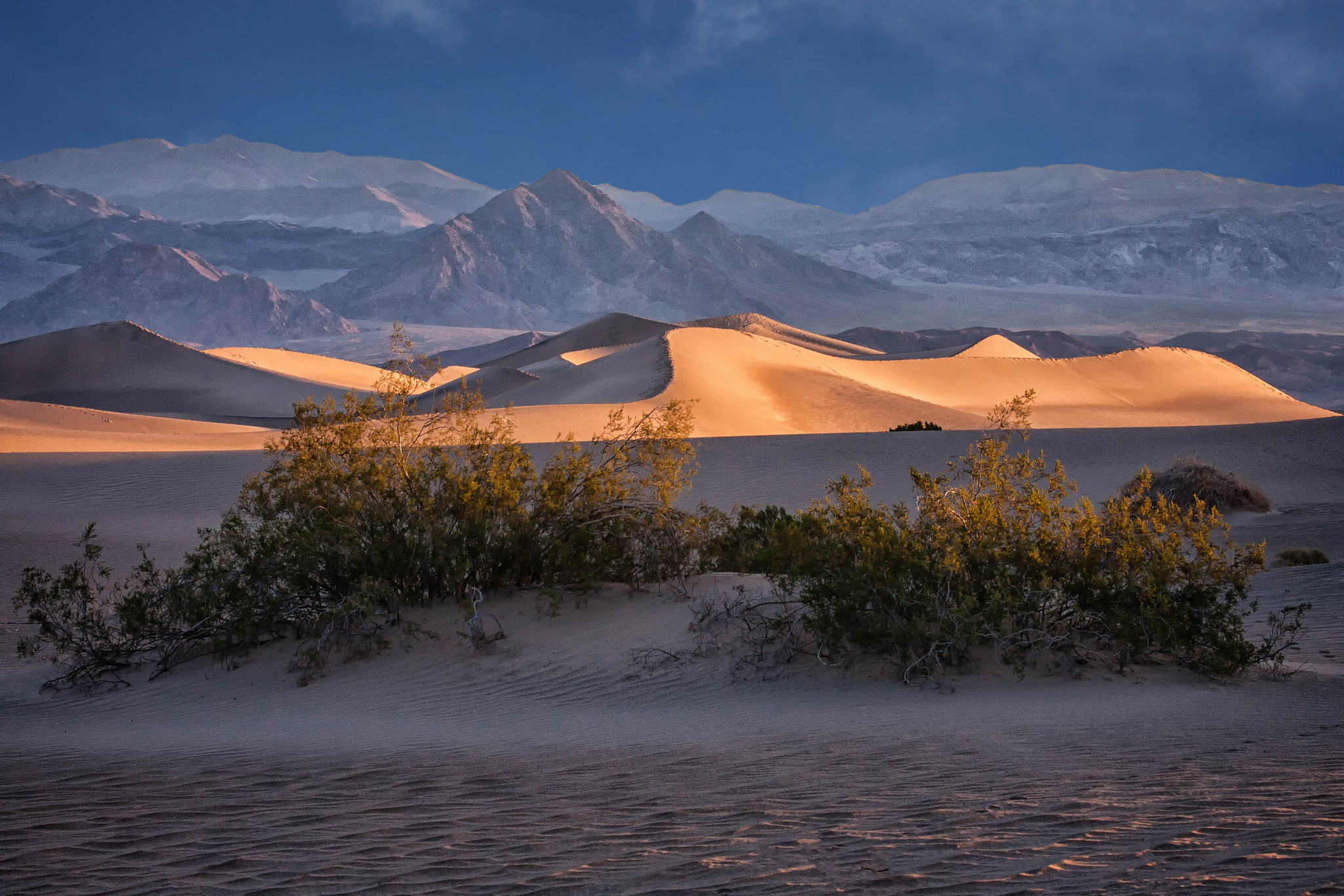 Canon EF 100-400mm F4.5-5.6L IS USM sample photo. Mesquite flats photography