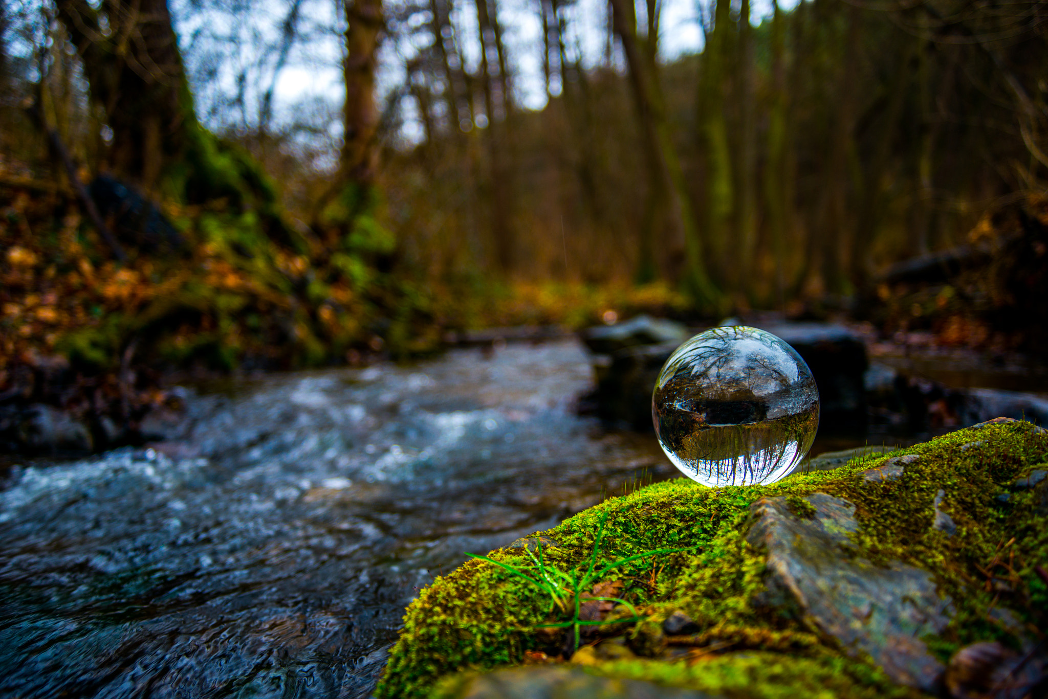 AF Zoom-Nikkor 28-80mm f/3.3-5.6G sample photo. Glassworld '3' photography