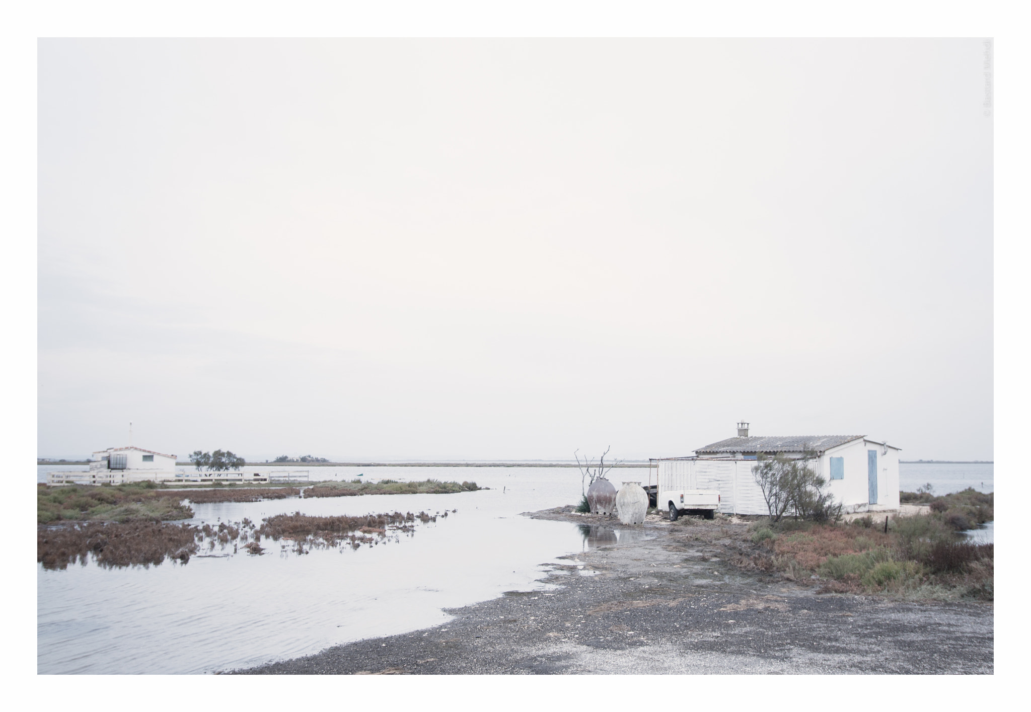 Canon EF-S 10-18mm F4.5–5.6 IS STM sample photo. Camargue photography