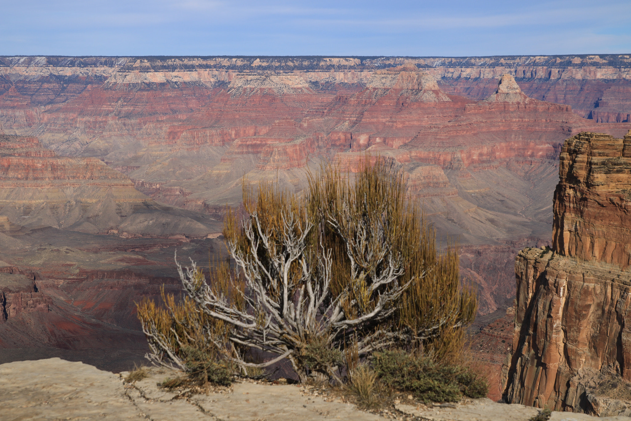 Canon EOS 760D (EOS Rebel T6s / EOS 8000D) sample photo. Grand canyon national park and wupatki ruins photography