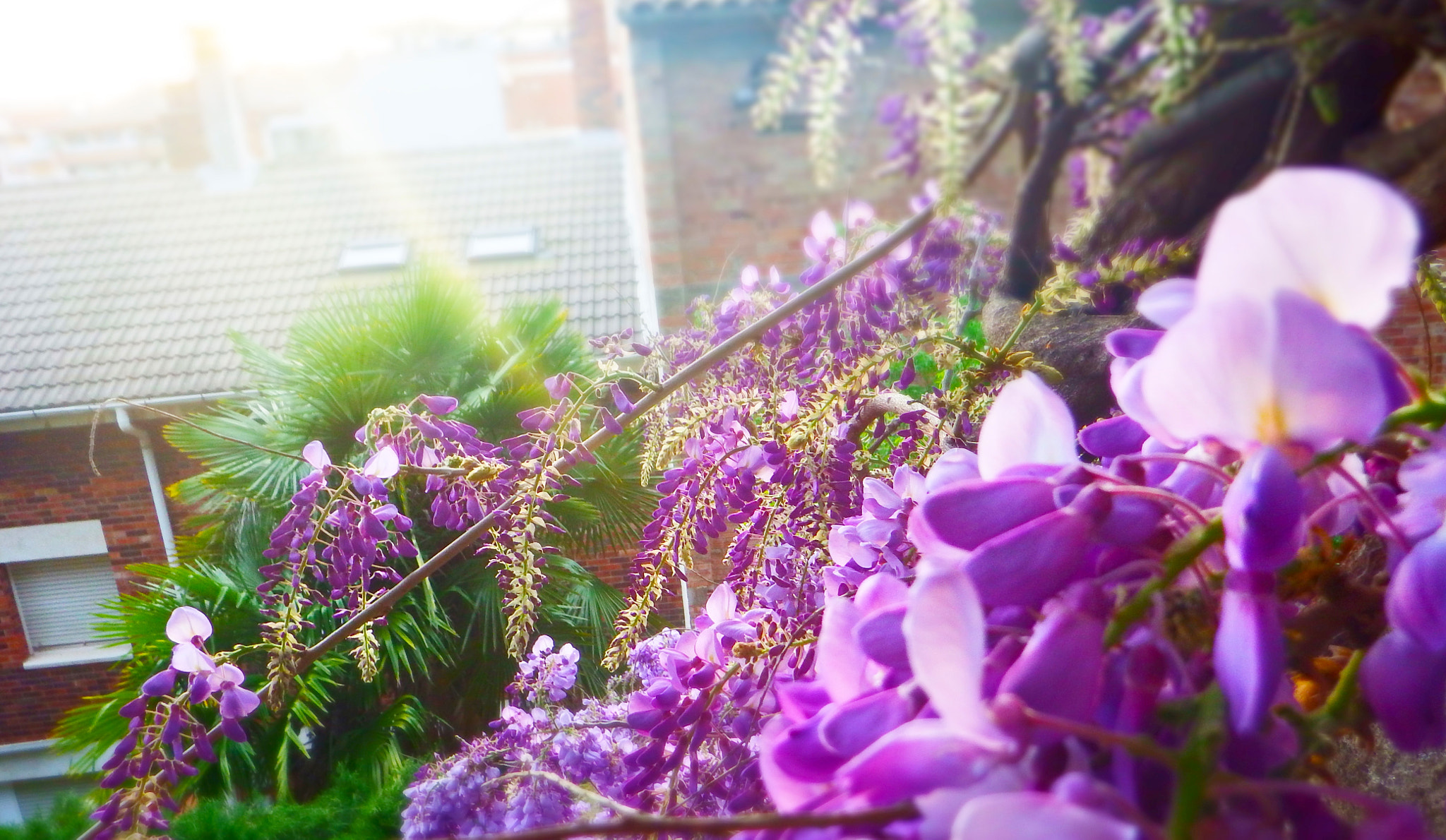 Fujifilm FinePix XP200/XP210 sample photo. Spring. photography
