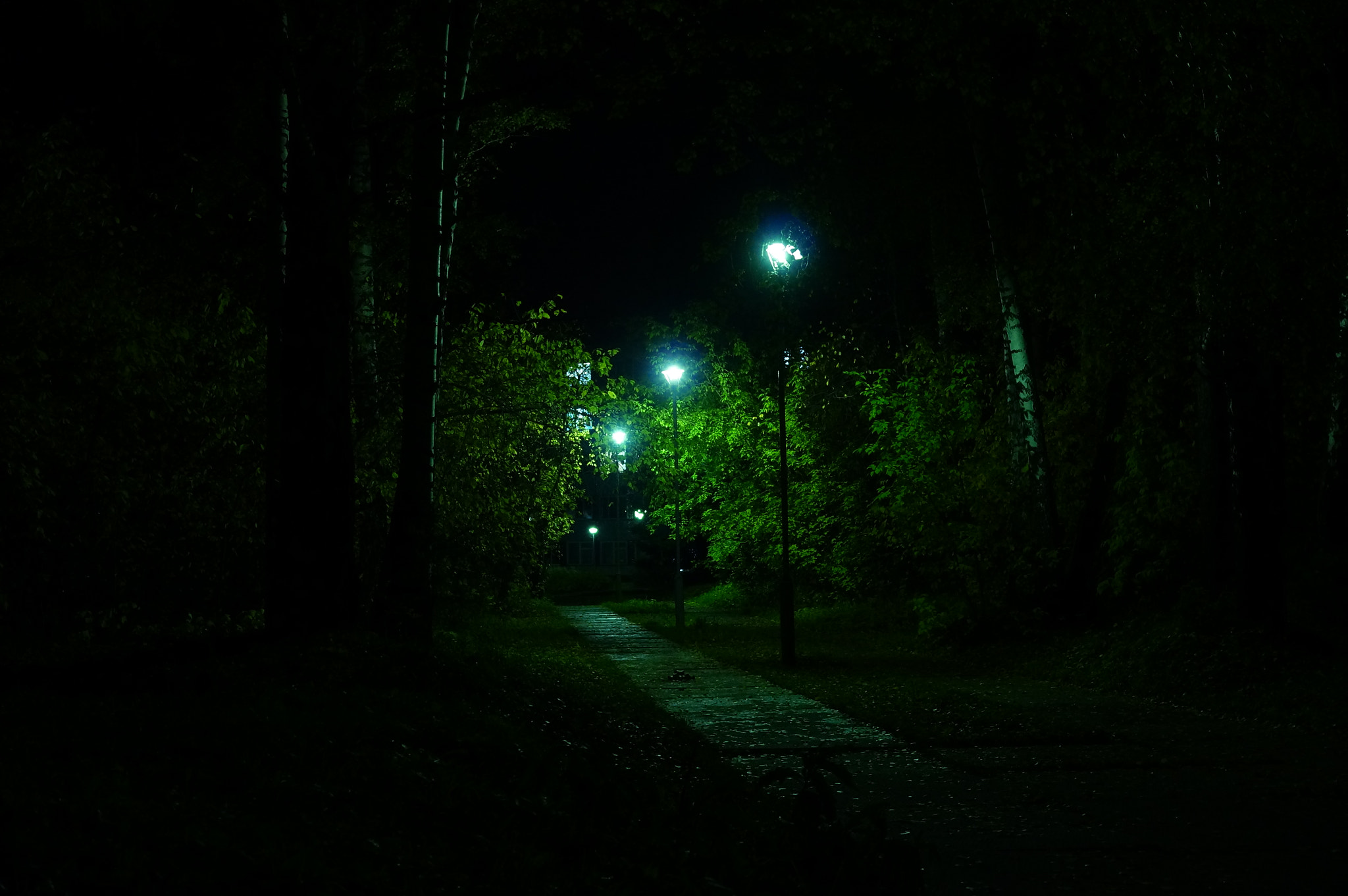 Sony SLT-A57 sample photo. ночная тропа photography
