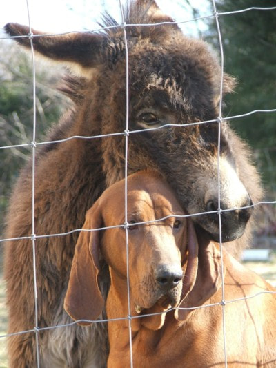 Fujifilm FinePix S5100 sample photo. V photography