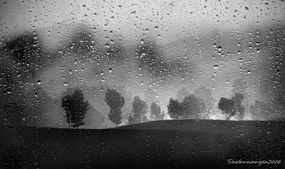 Pentax smc DA 50-200mm F4-5.6 ED sample photo. Still raining photography