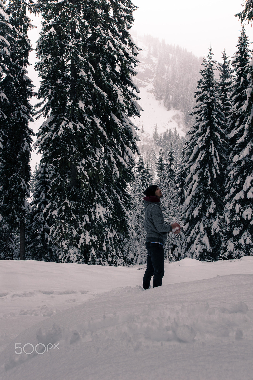 Pentax K-3 II sample photo. White snow photography