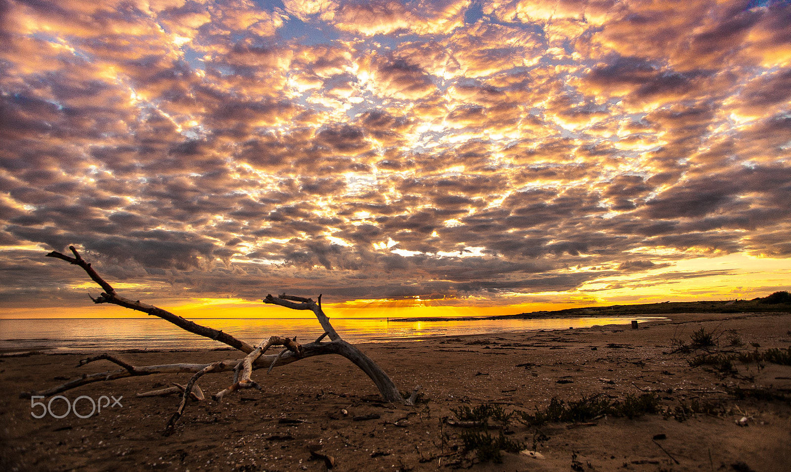 Canon EOS 5D + Canon EF 20-35mm f/2.8L sample photo. Gullbranna photography