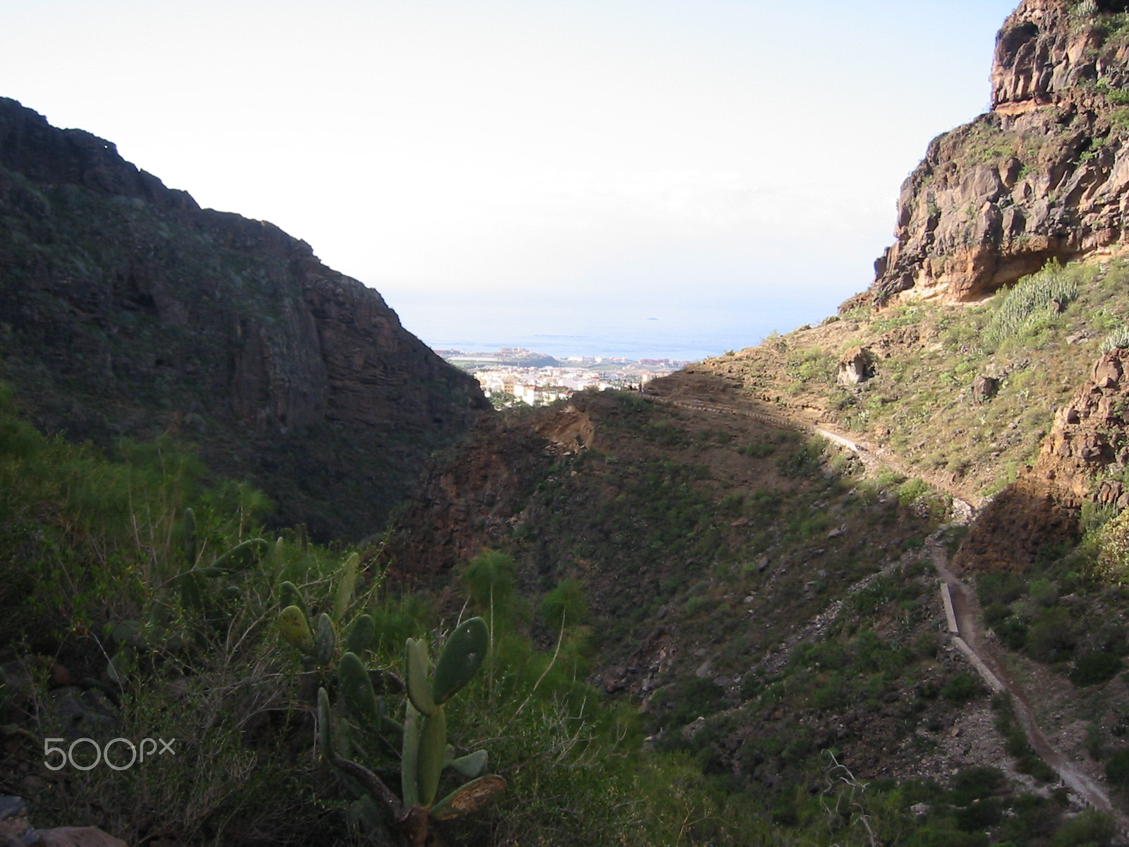 Canon DIGITAL IXUS V2 sample photo. Barranco del infierno (teneriffa) photography