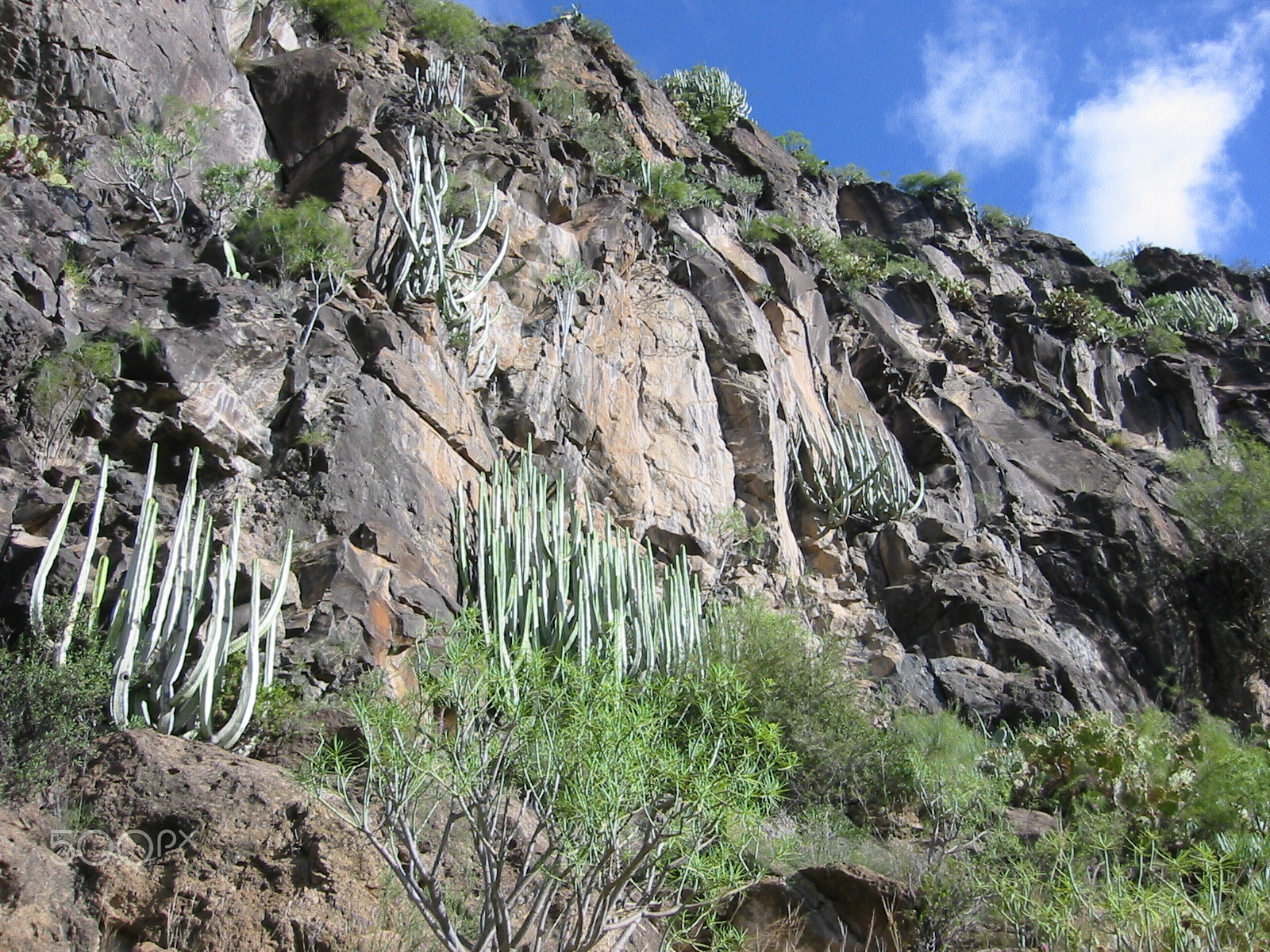 Canon DIGITAL IXUS V2 sample photo. Barranco del infierno (teneriffa) photography