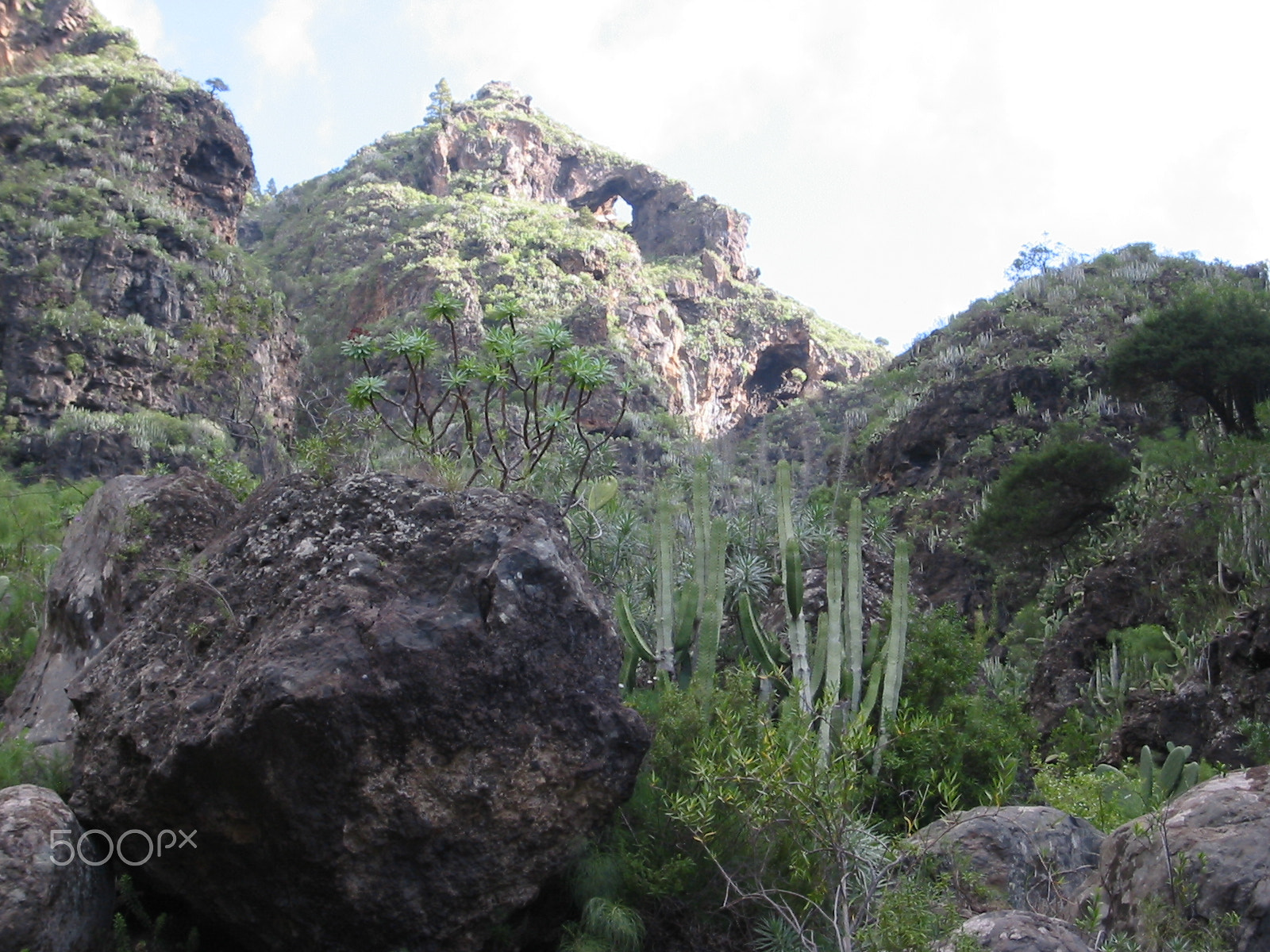 Canon DIGITAL IXUS V2 sample photo. Barranco del infierno (teneriffa) photography