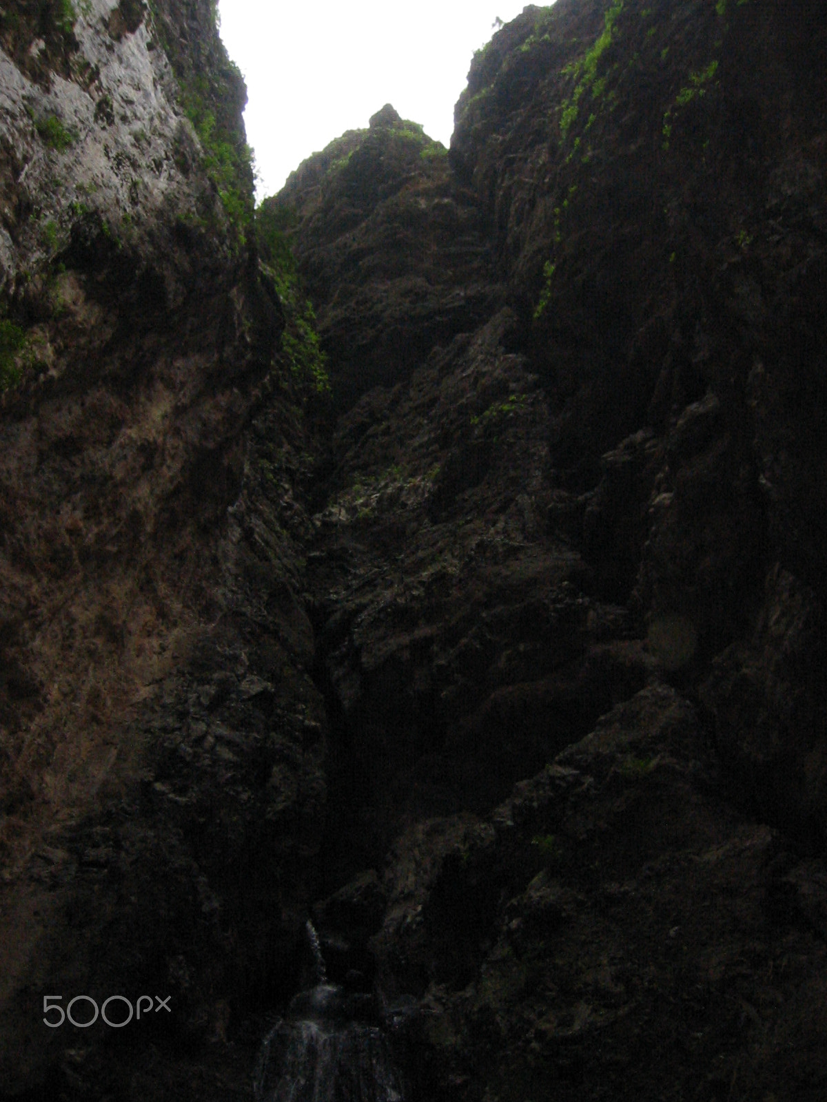 Canon DIGITAL IXUS V2 sample photo. Barranco del infierno (teneriffa) photography