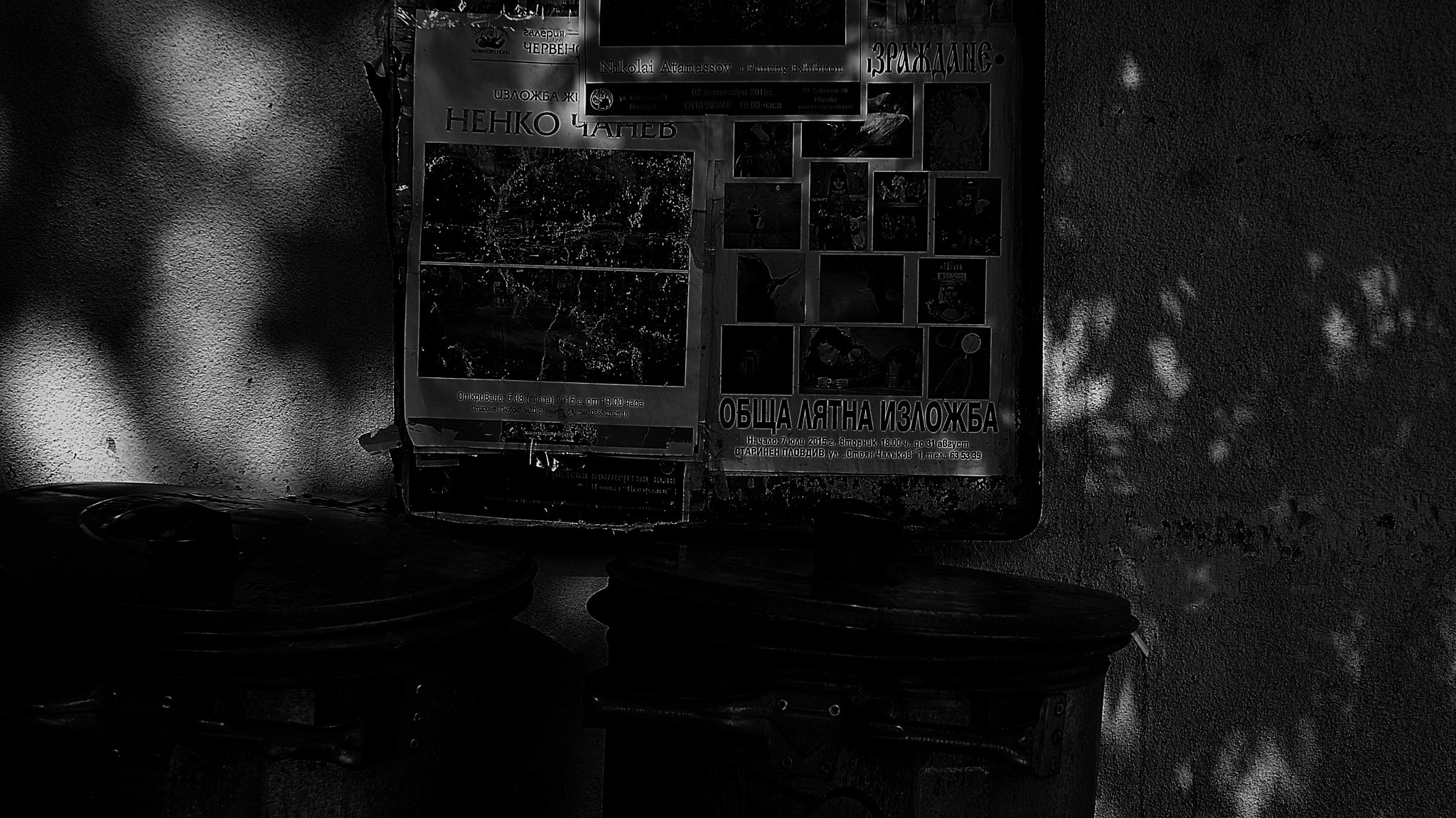 Panasonic Lumix DMC-GF2 + Panasonic Lumix G 14mm F2.5 ASPH sample photo. Under the tree photography