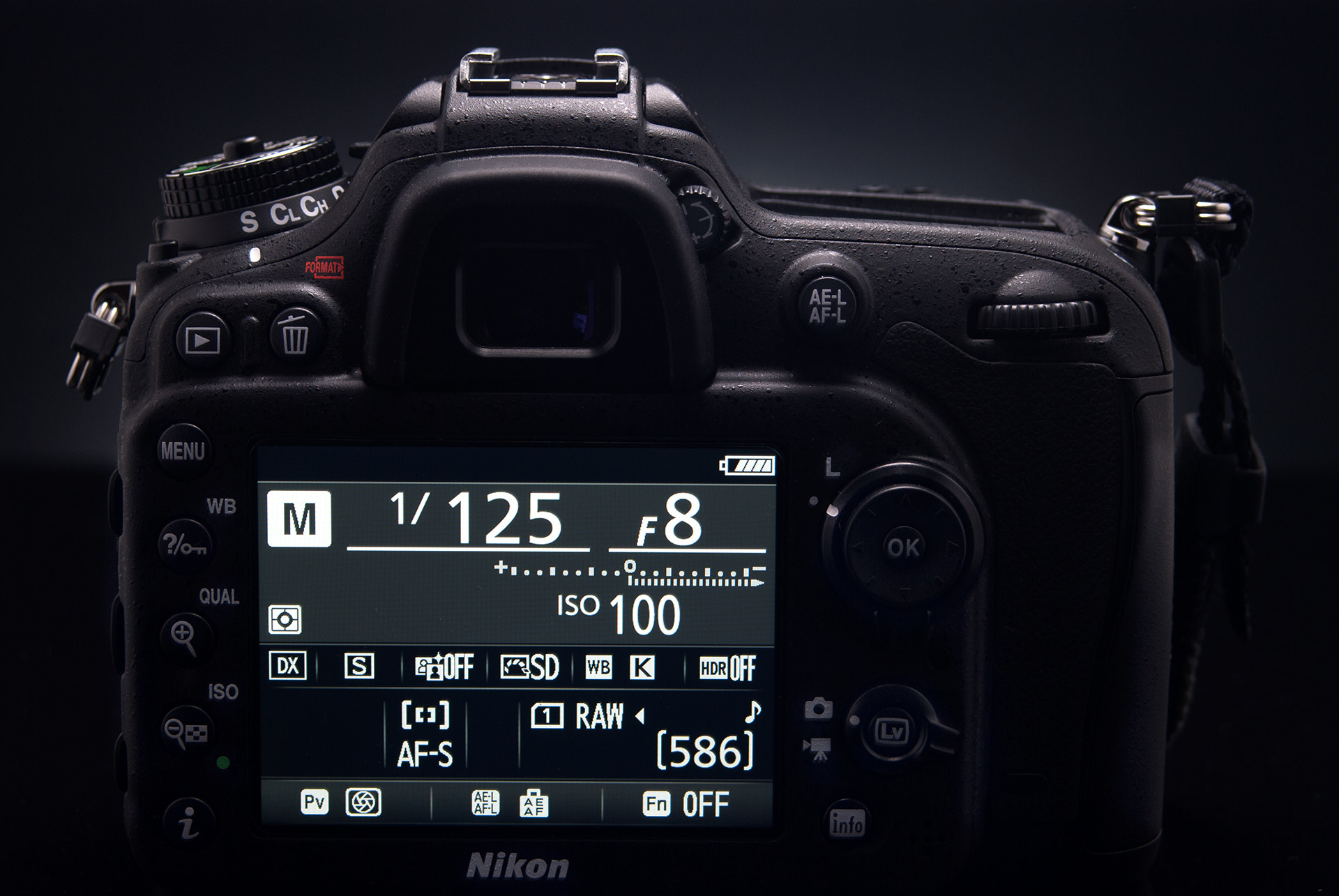 AF Zoom-Nikkor 35-80mm f/4-5.6D sample photo. New camera photography