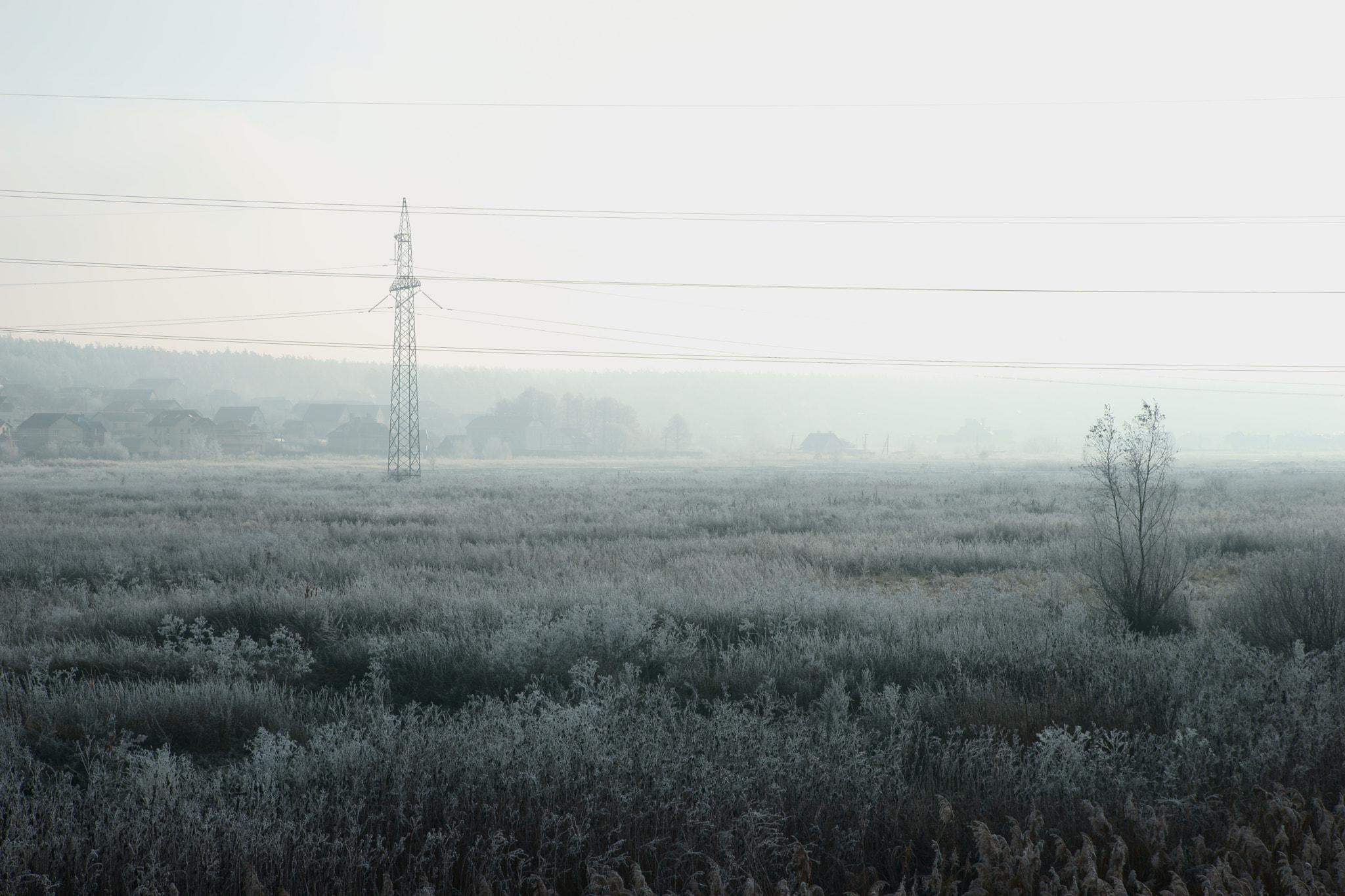 Sony 28-75mm F2.8 SAM sample photo. Morning photography