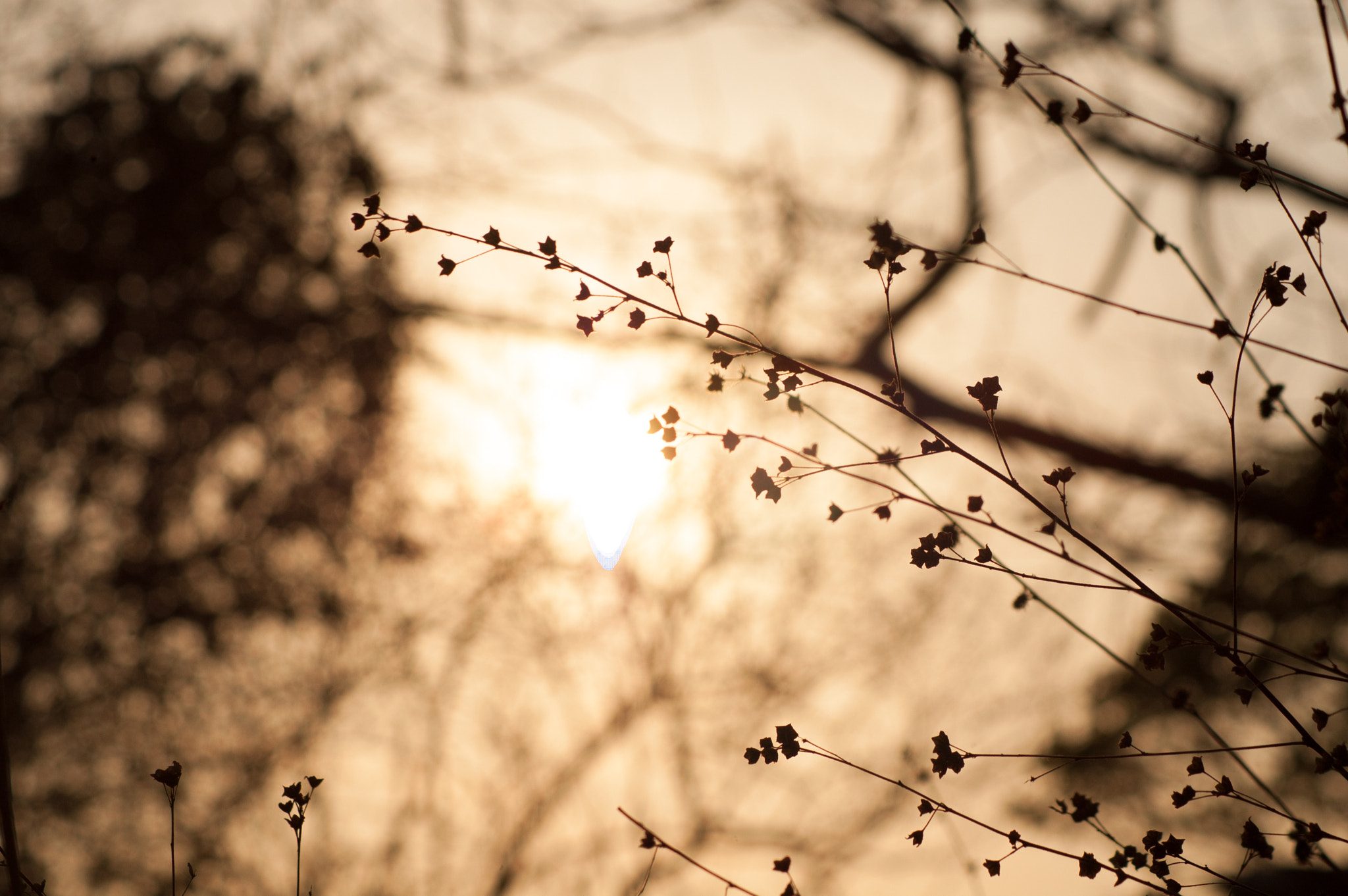 Nikon D40 sample photo. Summer photography