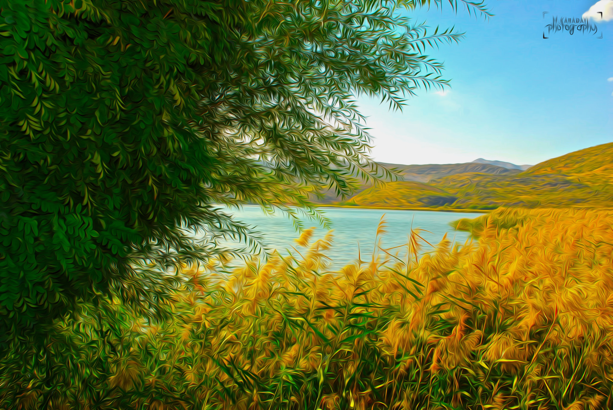 Nikon D40X sample photo. Lake photography