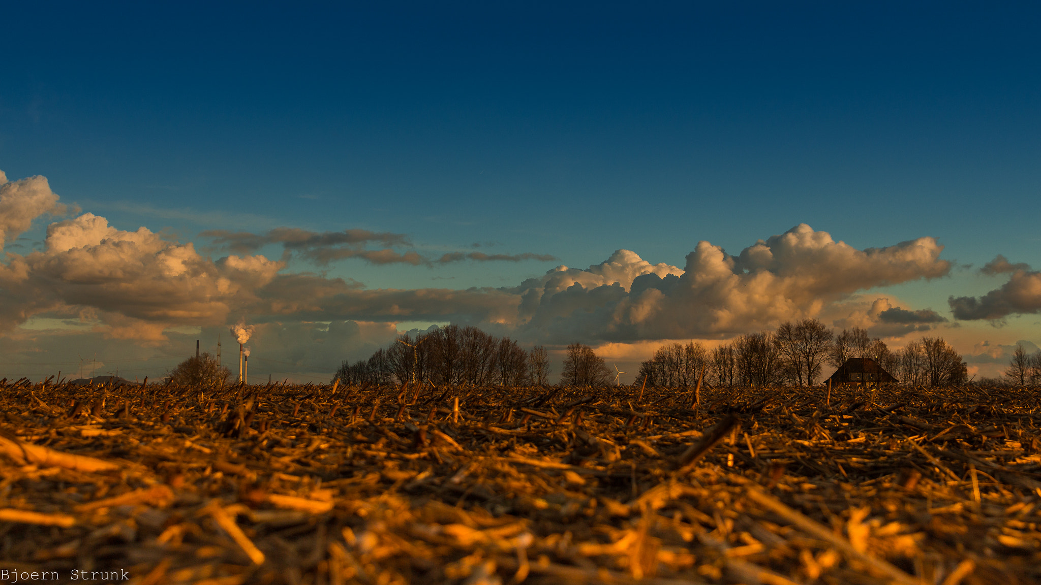 Canon EOS 650D (EOS Rebel T4i / EOS Kiss X6i) + Sigma 24-70mm F2.8 EX DG Macro sample photo. Sonnenuntergang auf dem maisfeld 3-3 photography