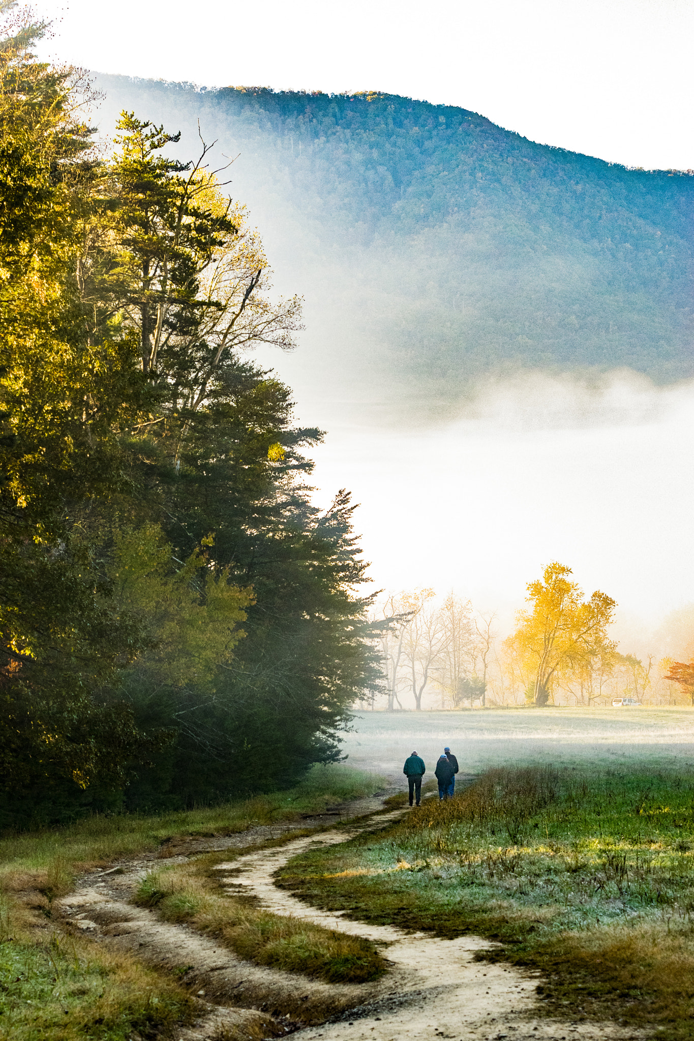 Sigma 70-200mm F2.8 EX DG OS HSM sample photo. A walk to remember - the smokies photography