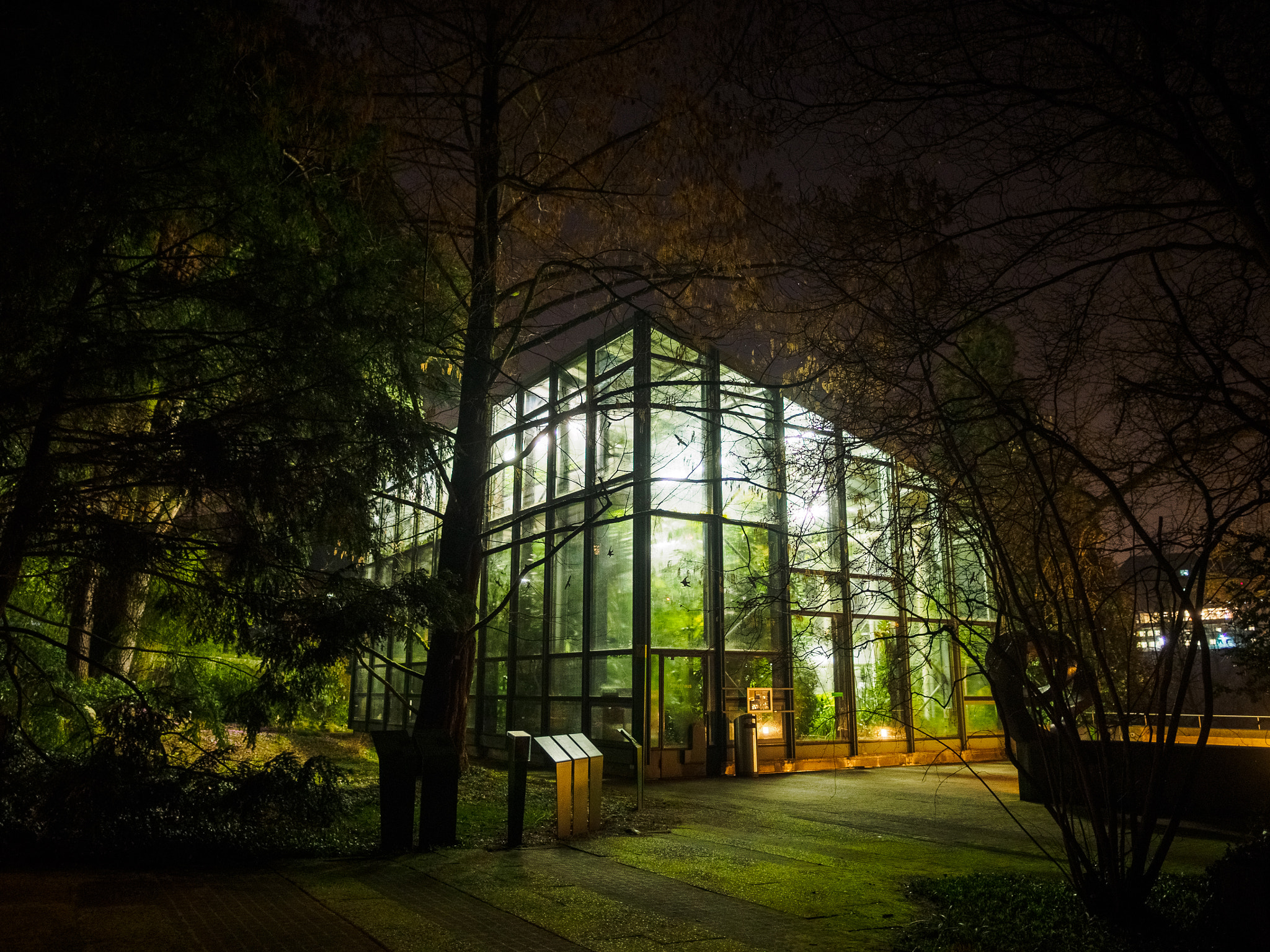 Olympus OM-D E-M5 II + OLYMPUS M.12mm F2.0 sample photo. Palm house photography