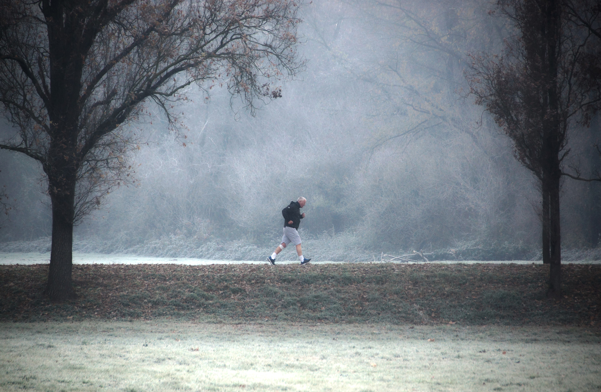 Sony SLT-A77 + DT 18-300mm F3.5-6.3 sample photo. Running photography