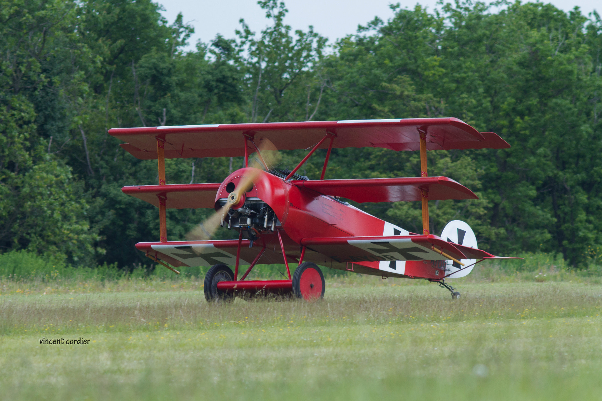 Canon EF 200mm f/2.8L II + 2x sample photo. Baron rouge photography