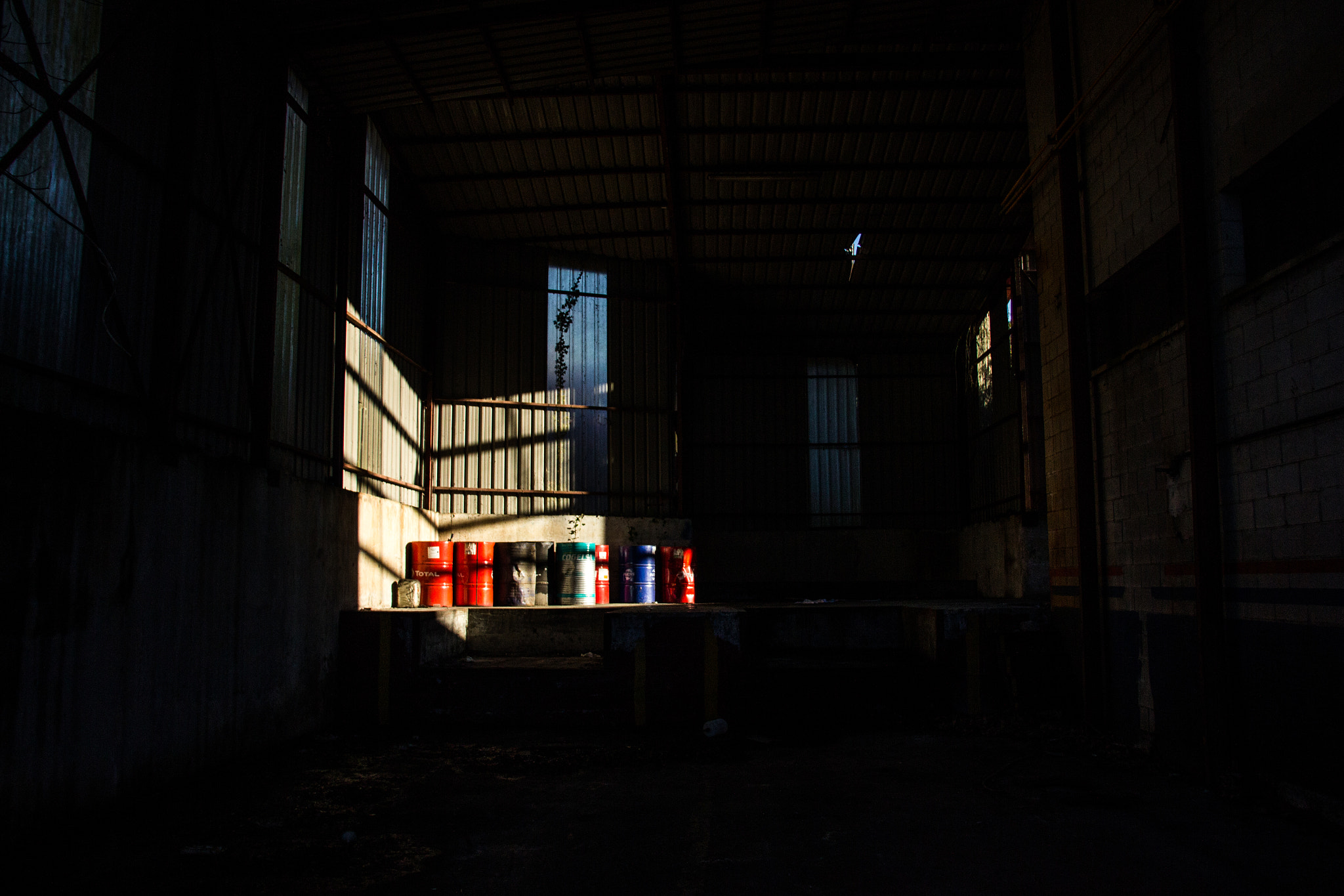 Sigma 18-125mm F3.8-5.6 DC OS HSM sample photo. Colourful ray photography