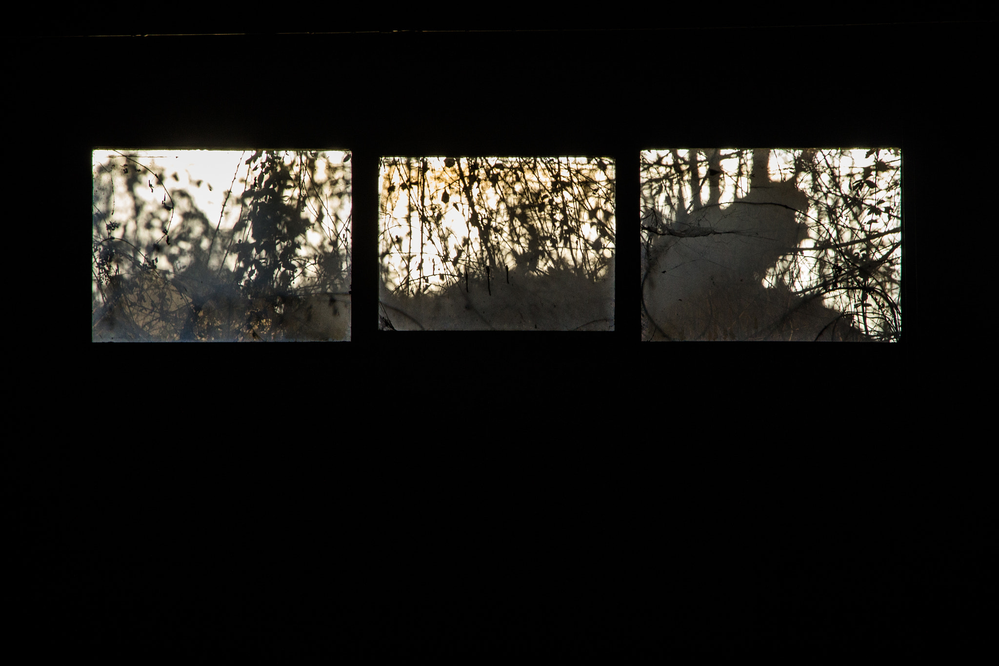 Sigma 18-125mm F3.8-5.6 DC OS HSM sample photo. . photography