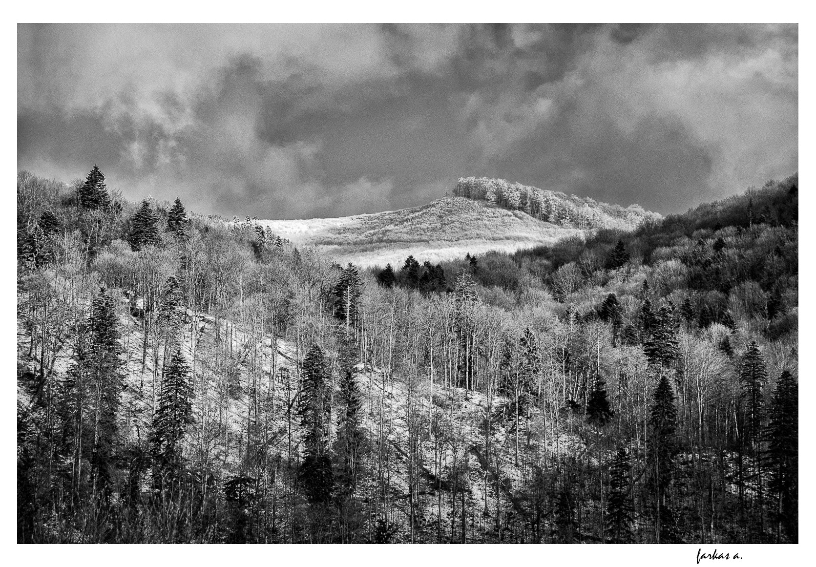 Nikon D60 sample photo. Wind of changes... photography