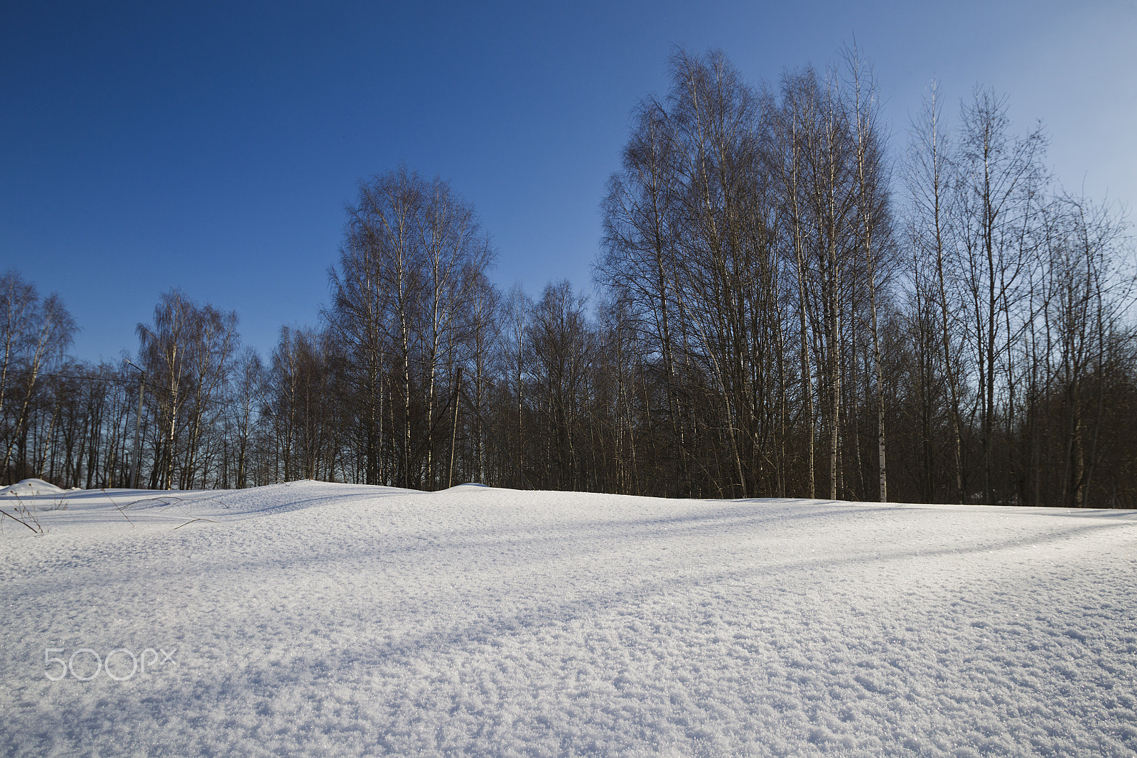 Canon EF 17-35mm f/2.8L sample photo. Winter landscape of a sunny day photography