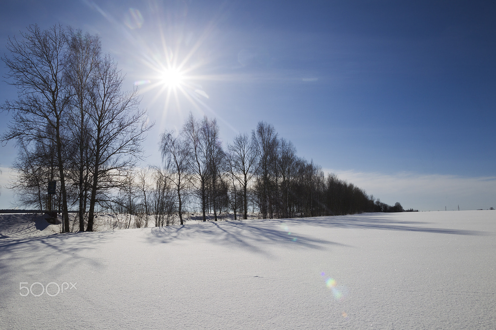 Canon EOS-1D Mark IV + Canon EF 17-35mm f/2.8L sample photo. Winter landscape of a sunny day photography