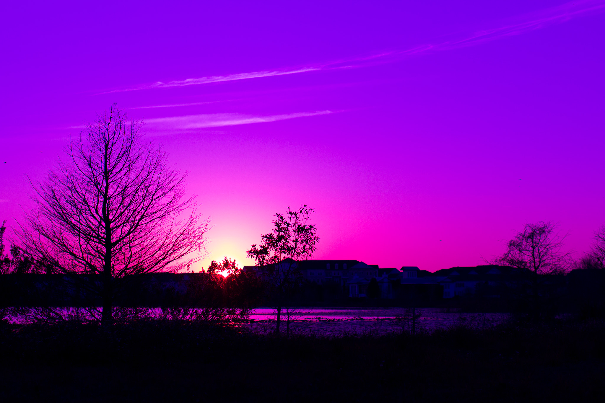 Sigma 50mm F1.4 EX DG HSM sample photo. Sunset photography