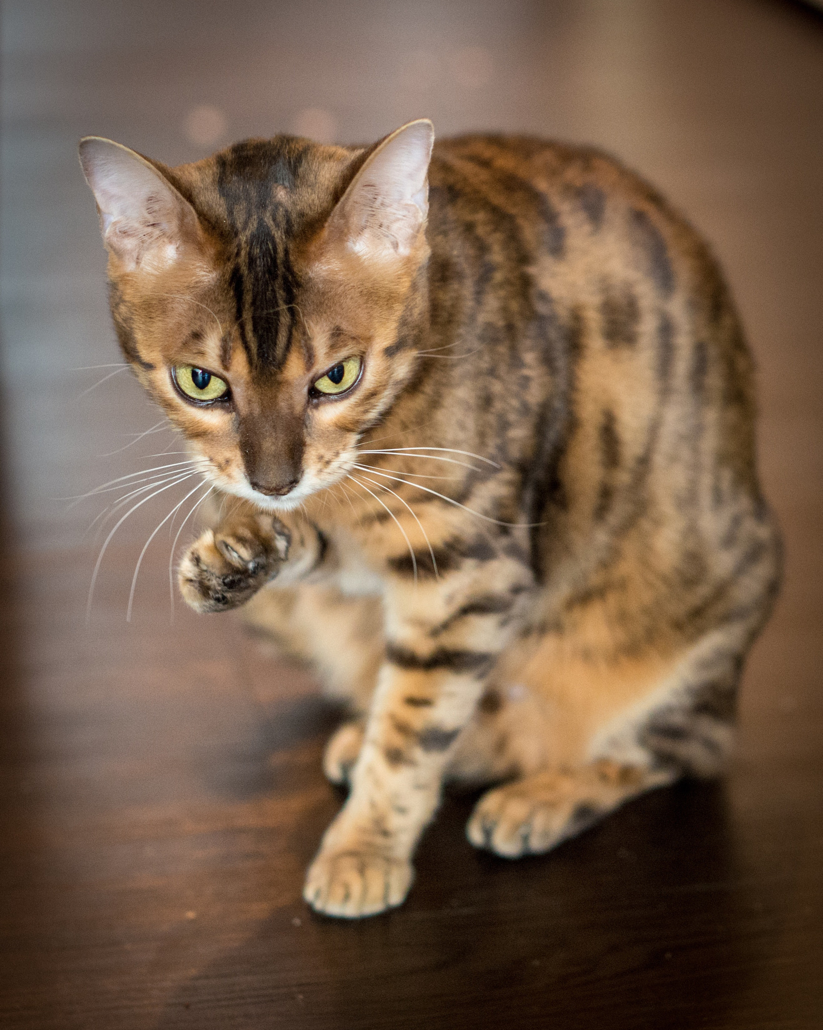 ZEISS Milvus 50mm F1.4 sample photo