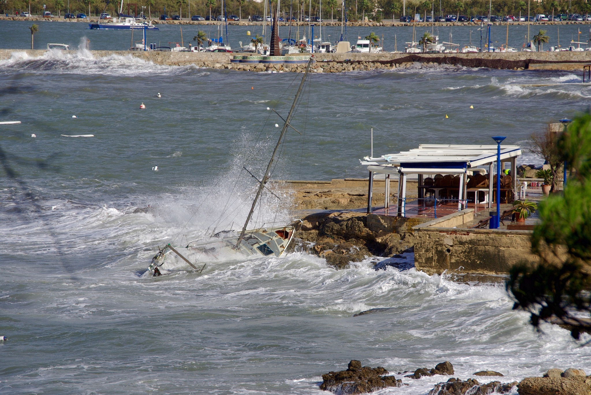 Pentax K10D sample photo. Another one 'dies'! photography
