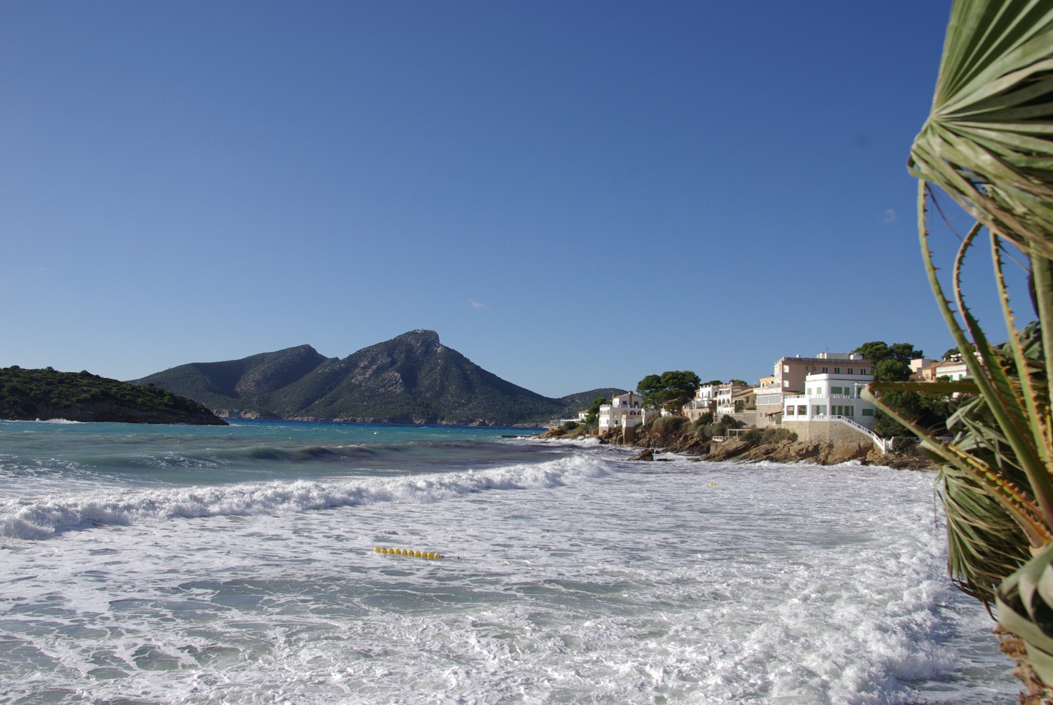 Pentax K10D sample photo. Still blowing photography