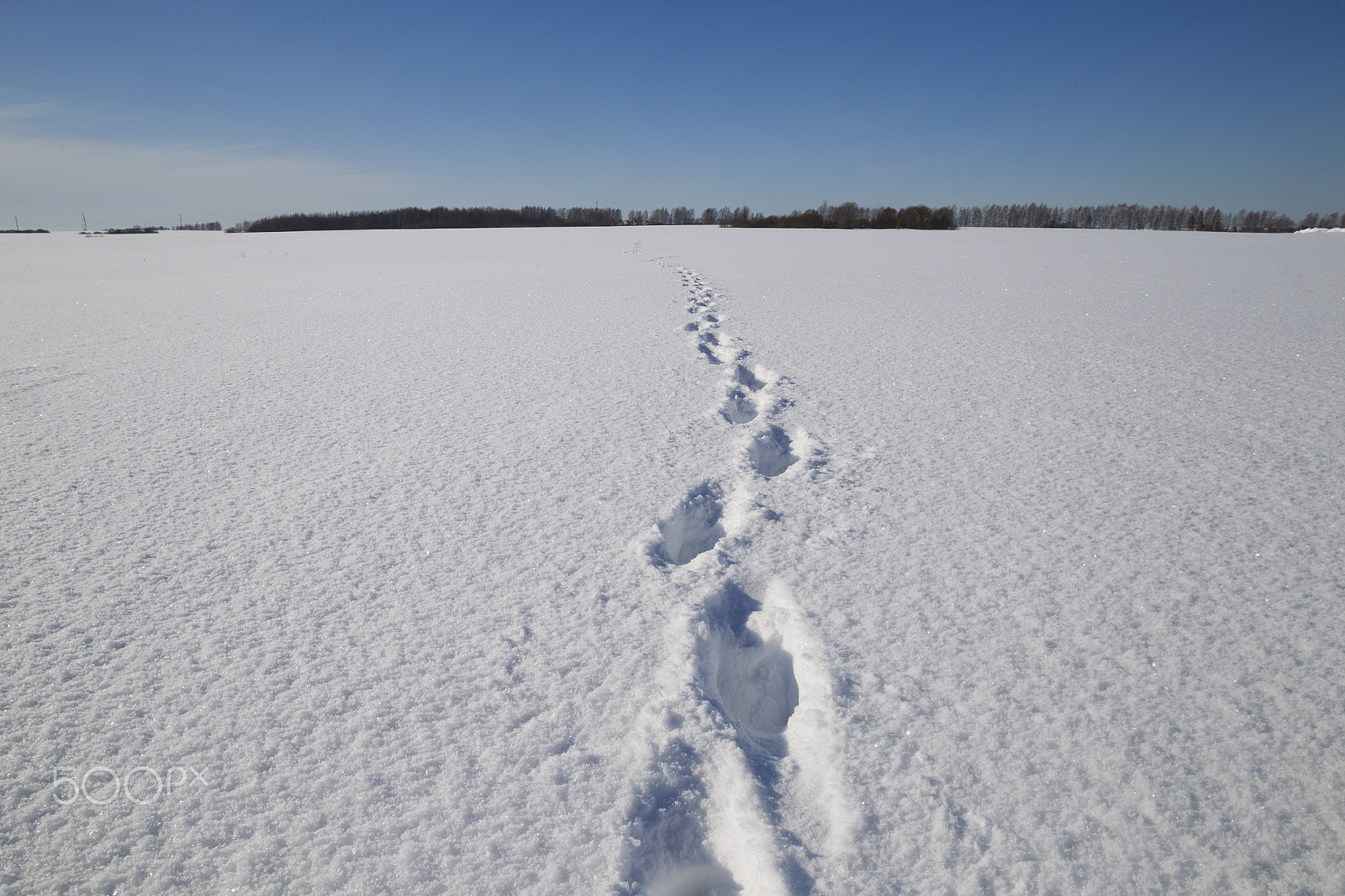 Canon EOS-1D Mark IV + Canon EF 17-35mm f/2.8L sample photo. Human traces on snow photography