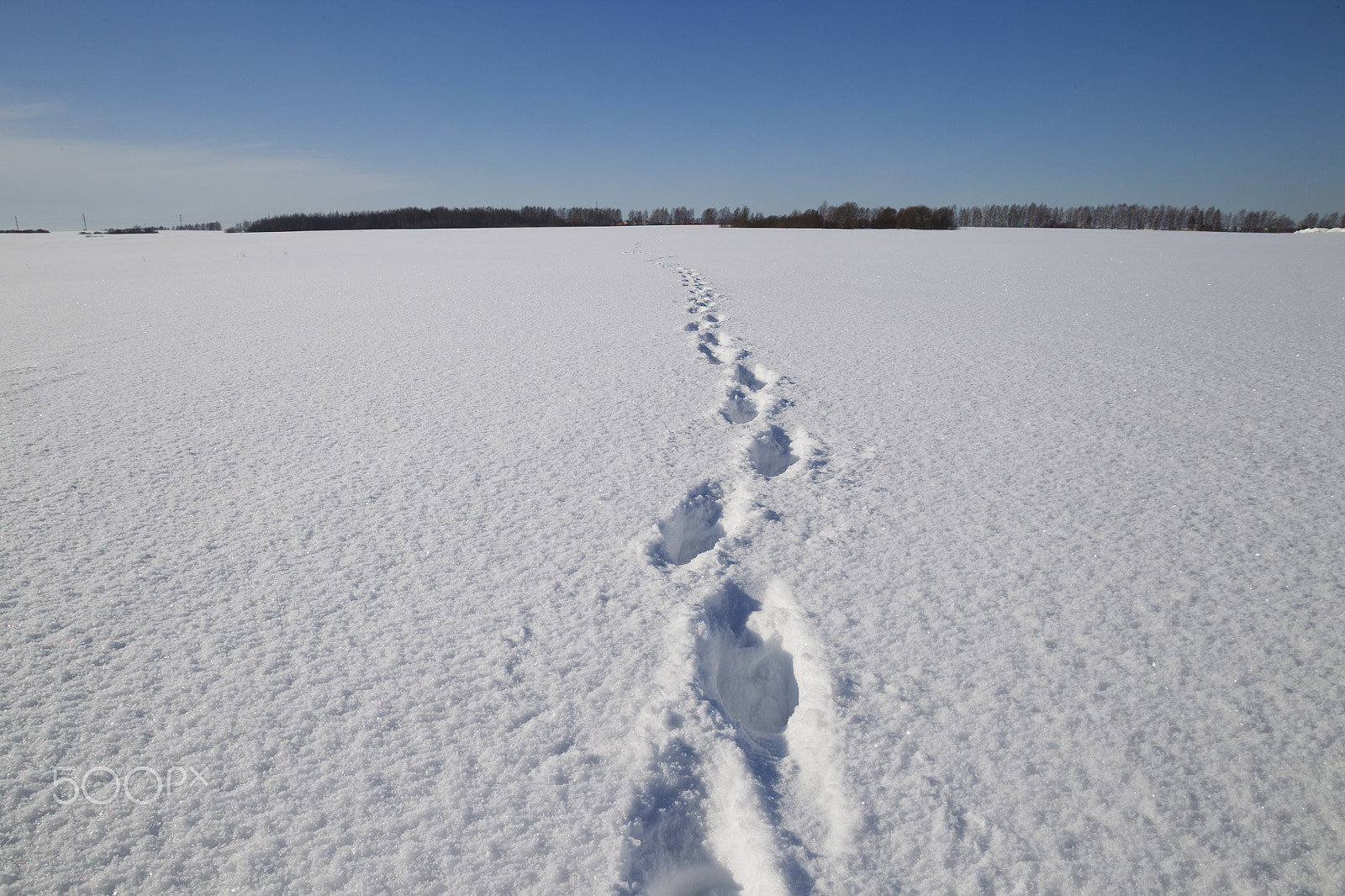 Canon EF 17-35mm f/2.8L sample photo. Human traces on snow photography