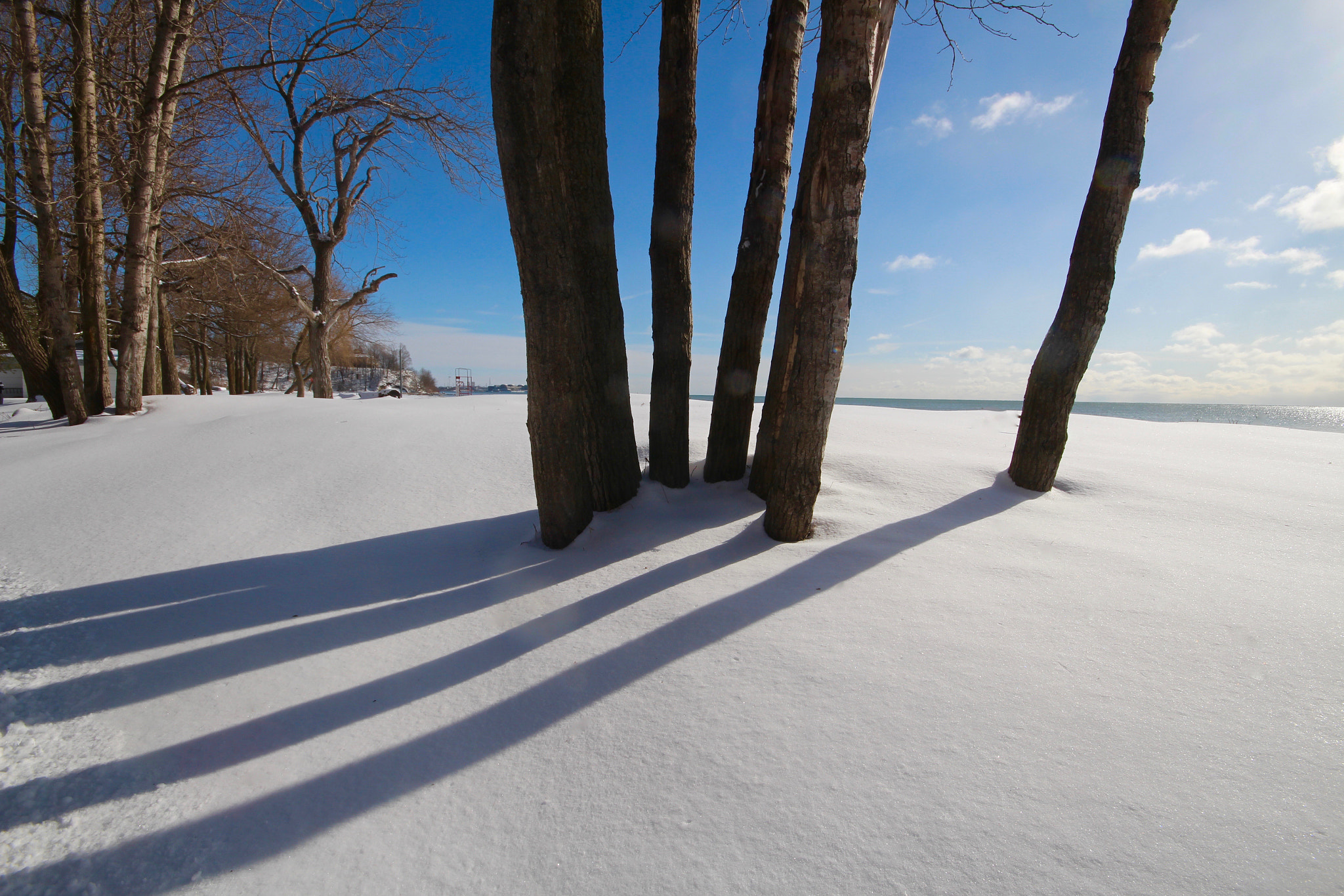 Sigma 10-20mm F4-5.6 EX DC HSM sample photo. Tree shadows photography