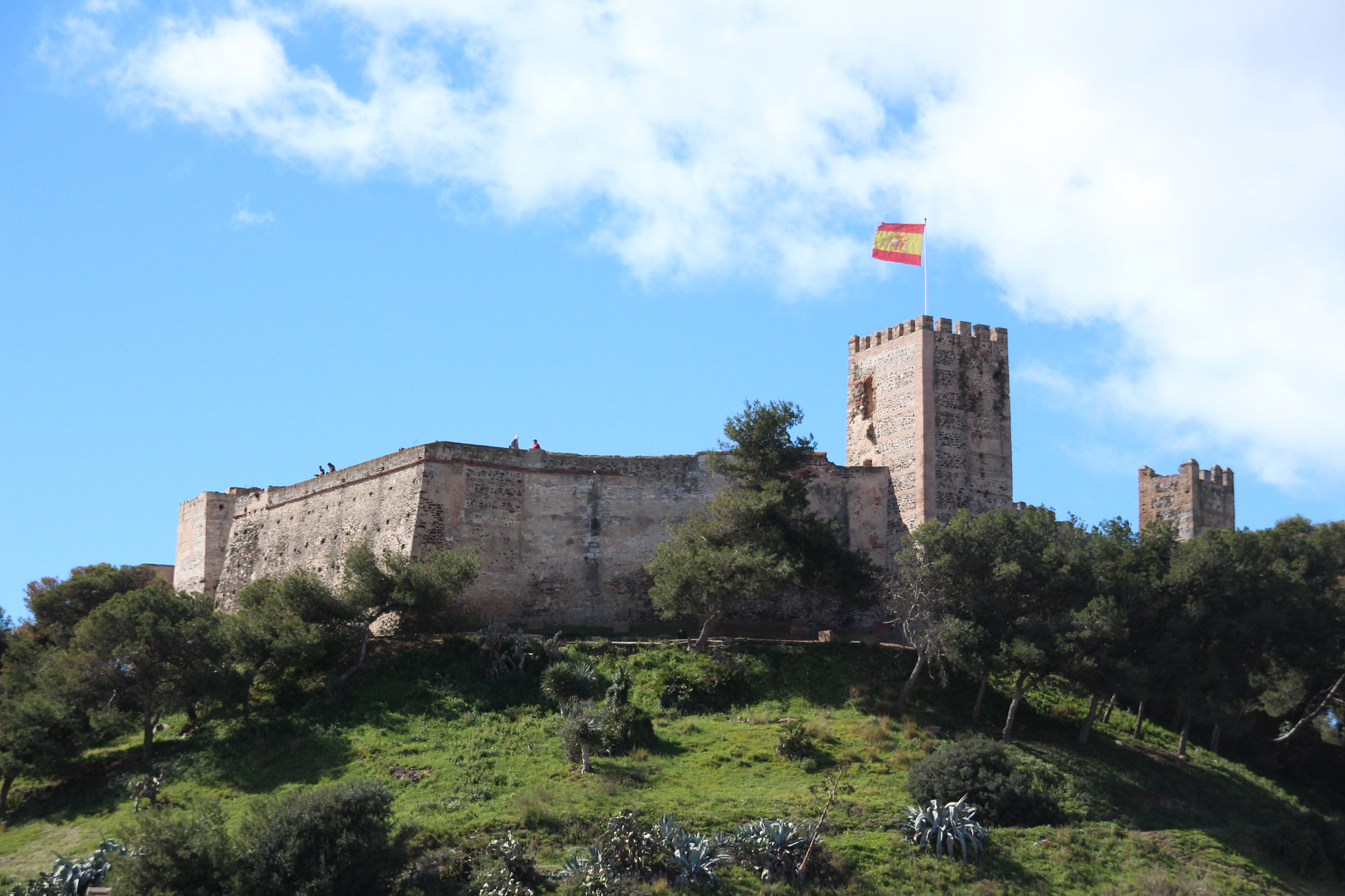 Sigma 18-200mm f/3.5-6.3 DC OS sample photo. Ondeando nuestra bandera. photography
