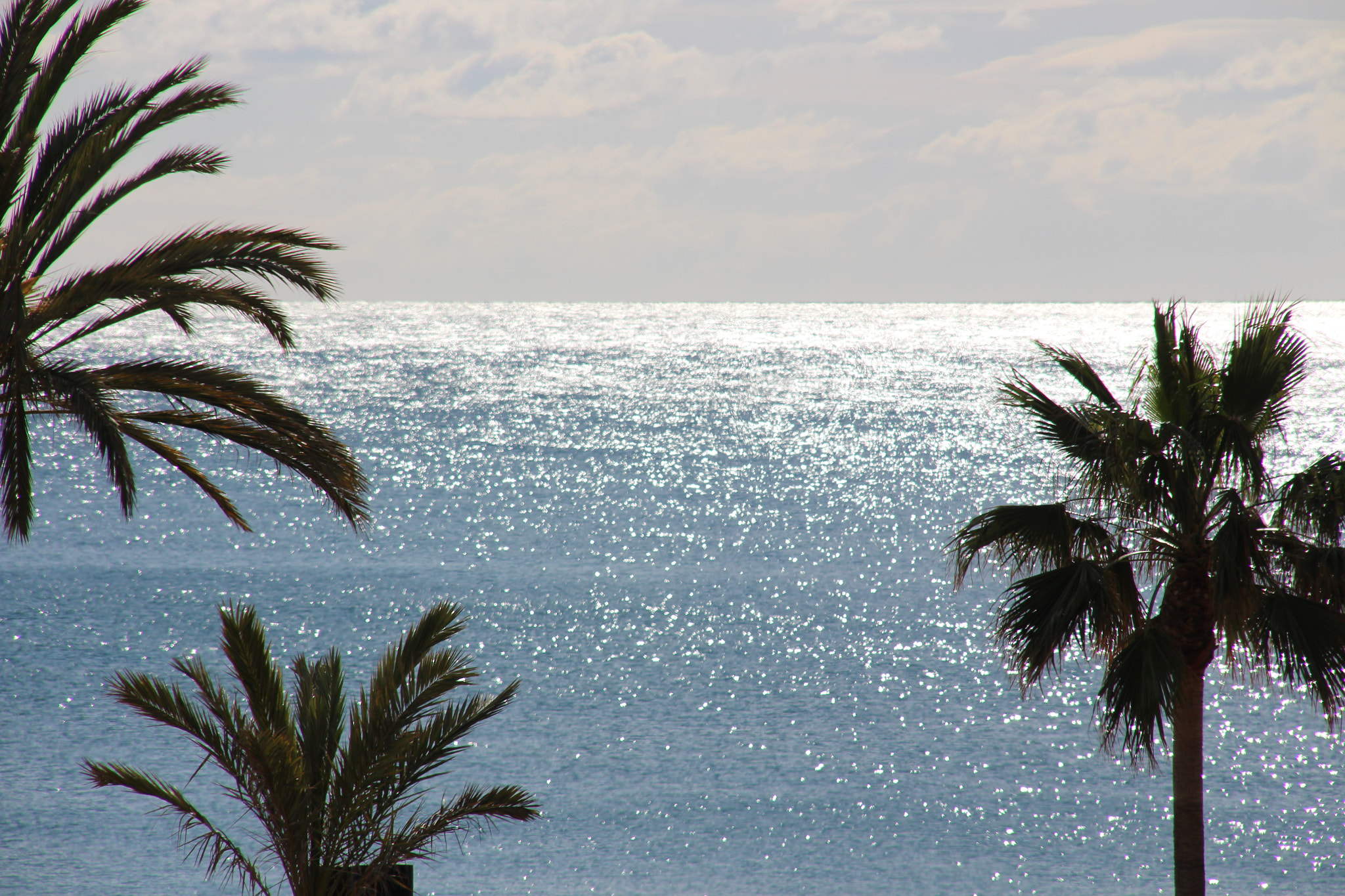 Sigma 18-200mm f/3.5-6.3 DC OS sample photo. Palmeras cerca del mar photography