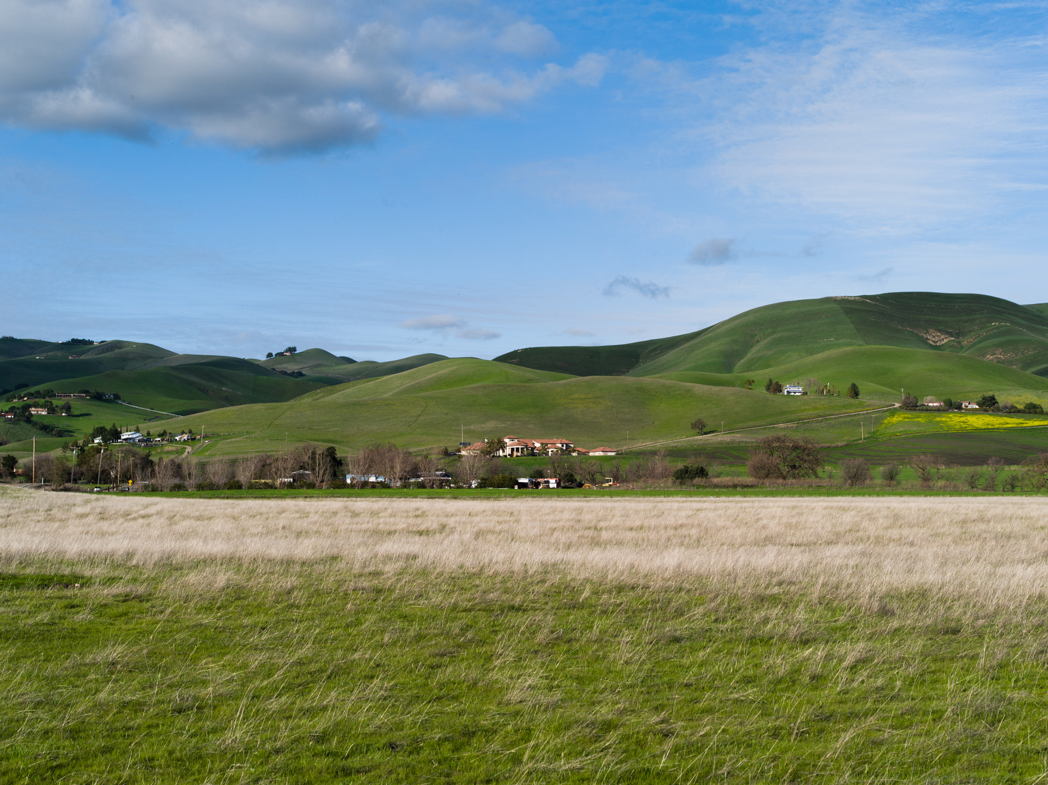 Pentax 645D sample photo. Manning road, livermore, ca photography