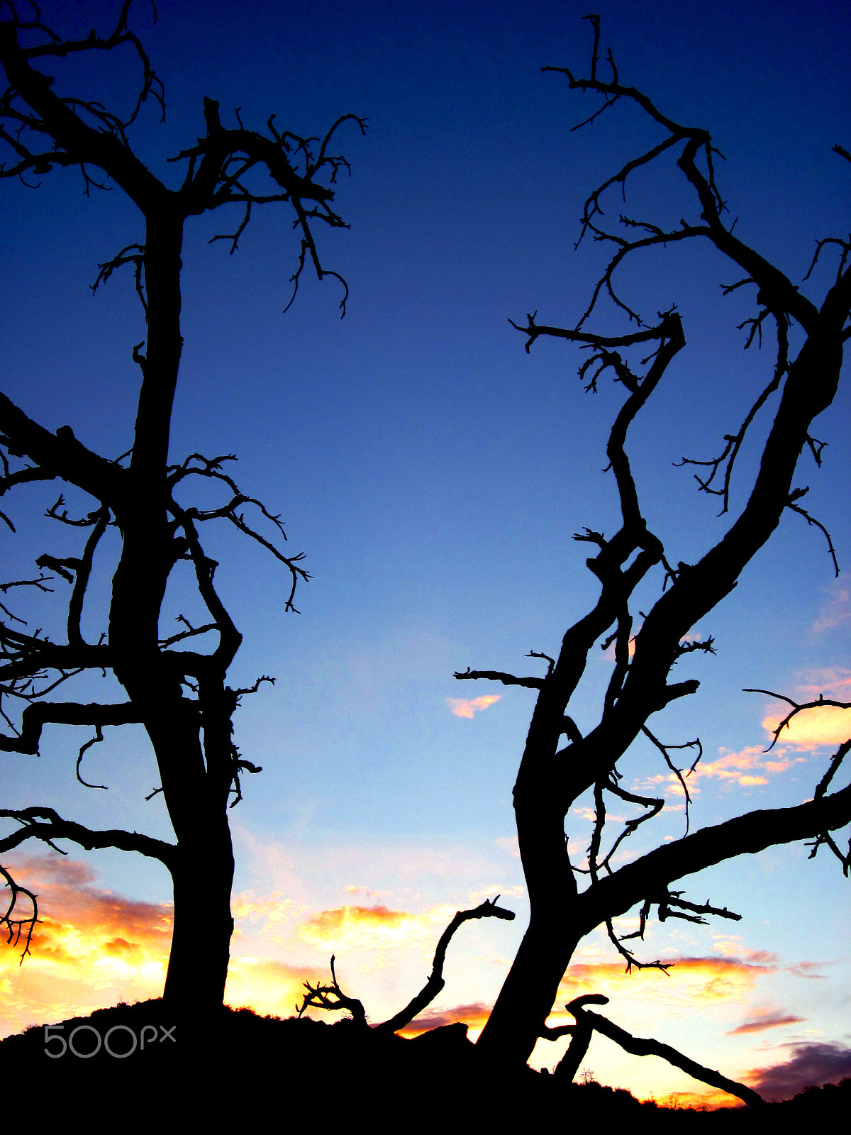 Canon PowerShot SD1300 IS (IXUS 105 / IXY 200F) sample photo. Joshua tree ruins photography