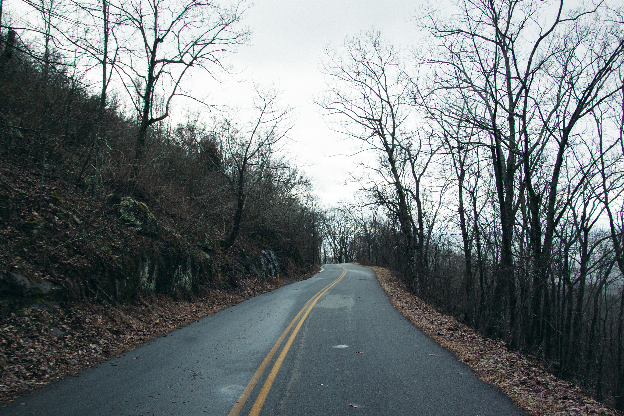 Canon EOS 500D (EOS Rebel T1i / EOS Kiss X3) sample photo. Dark road photography