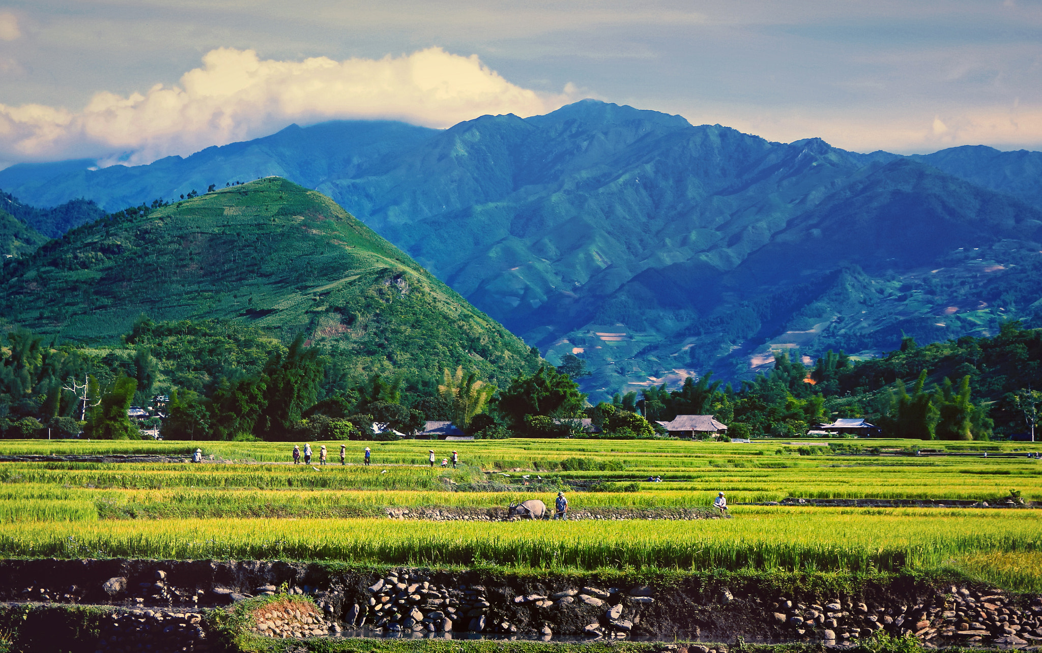 Canon EOS 550D (EOS Rebel T2i / EOS Kiss X4) sample photo. Peaceful scenery photography