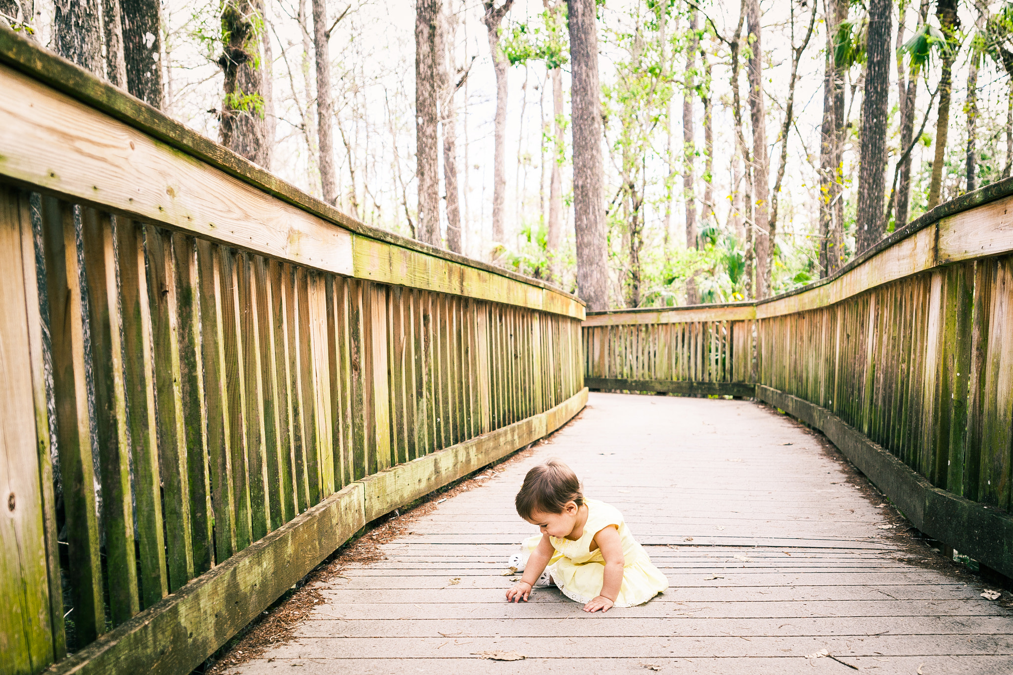 Canon EF 400mm f/2.8L sample photo. Baby on the boardwalk. photography