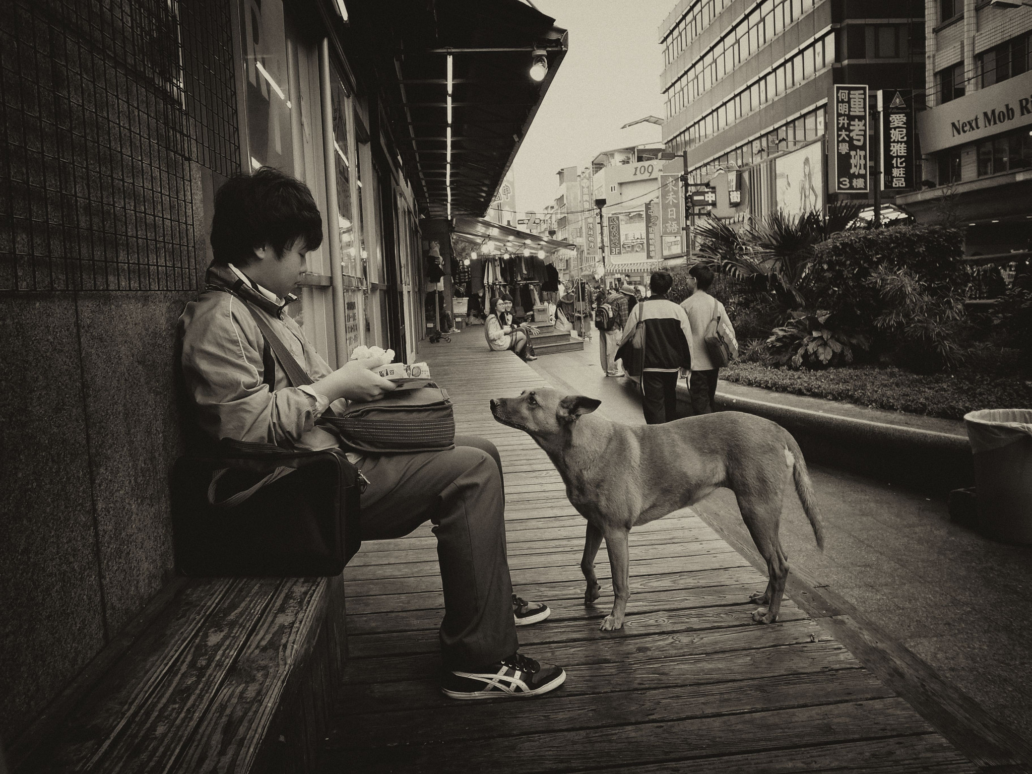 Ricoh GR DIGITAL 4 + RICOH GR LENS sample photo. Face to face photography